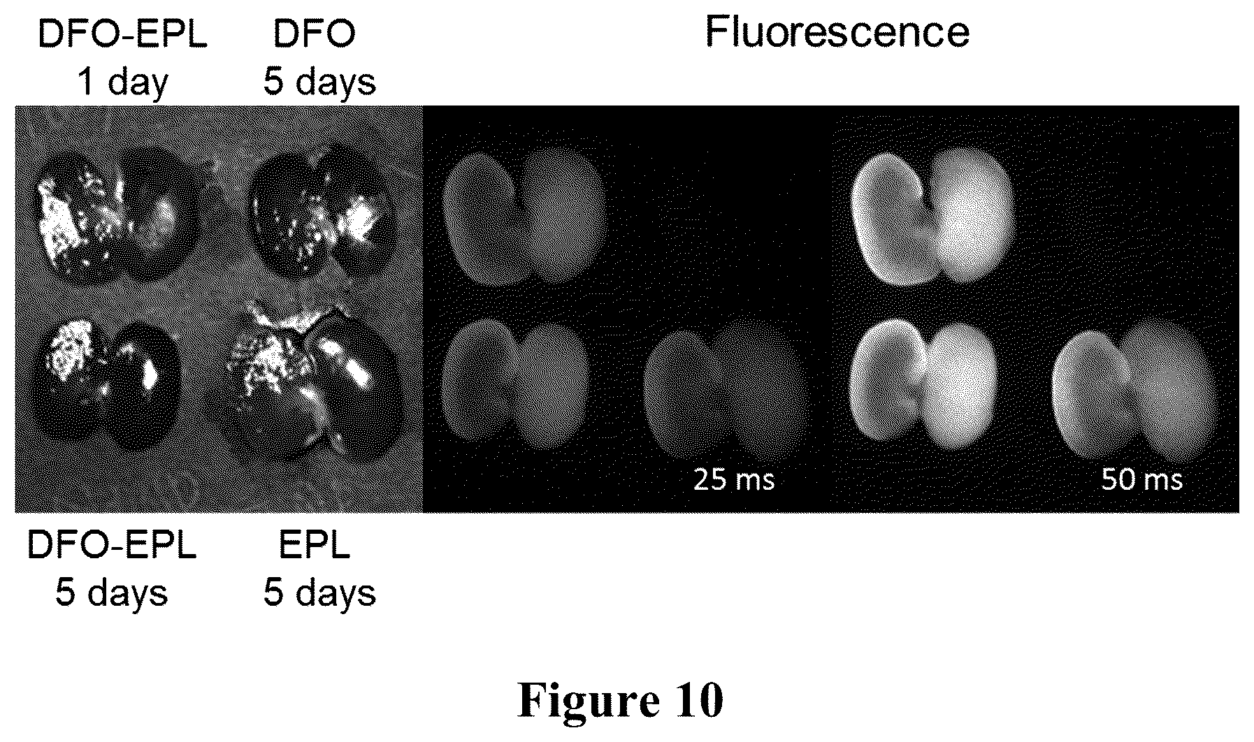 Patent US12098286 Figure 17 – Nanoprobe-metal chelator complexes