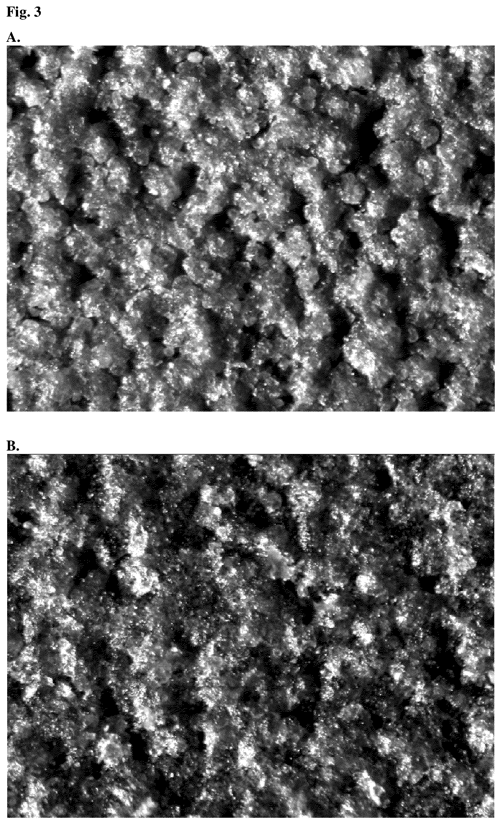 Patent US12098297 Figure 3 – Polymer-based build material for selective sintering