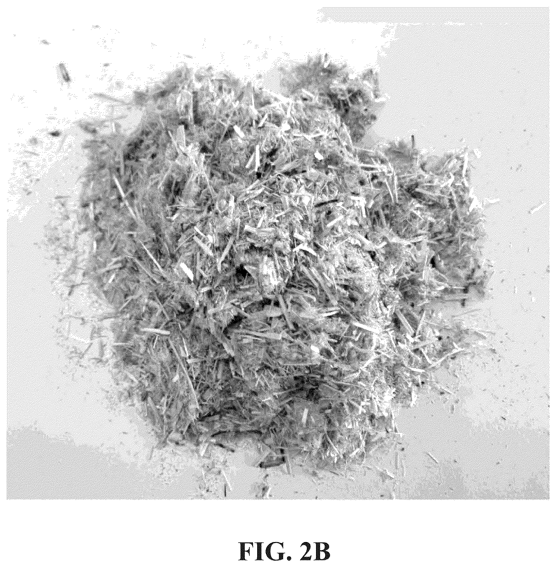 Patent US12098317 Figure 3 – Straw-based composition