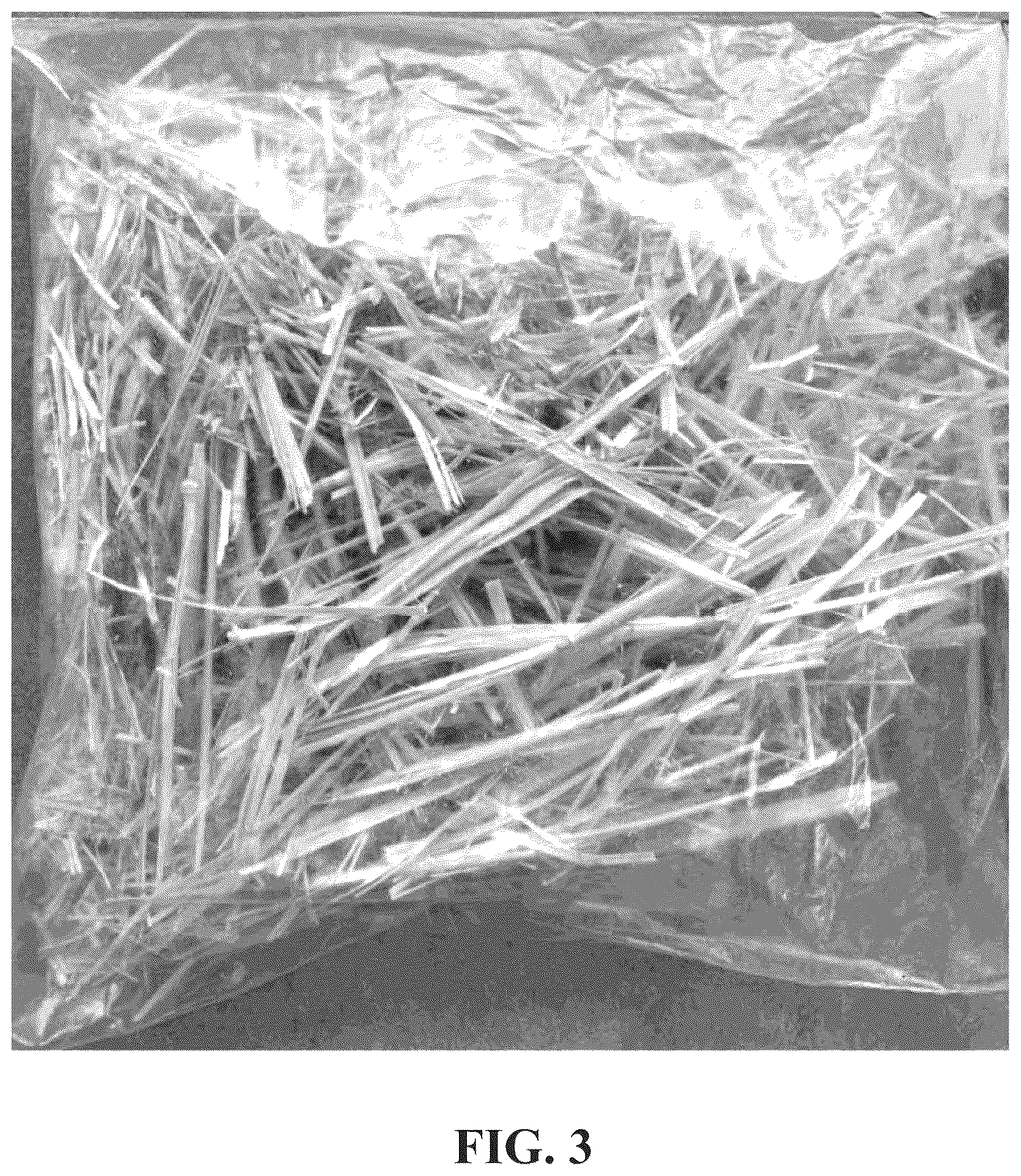 Patent US12098317 Figure 4 – Straw-based composition