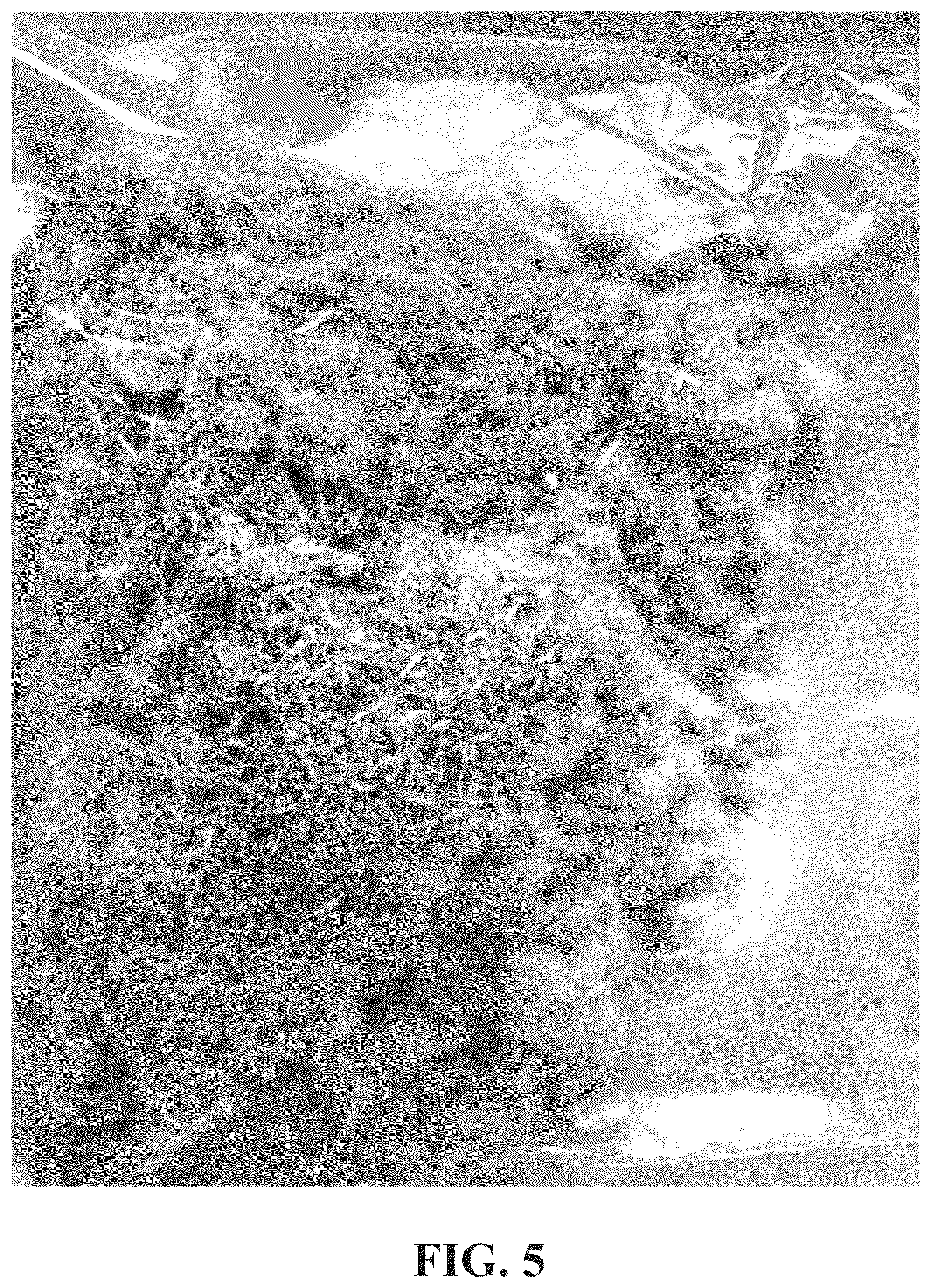 Patent US12098317 Figure 6 – Straw-based composition