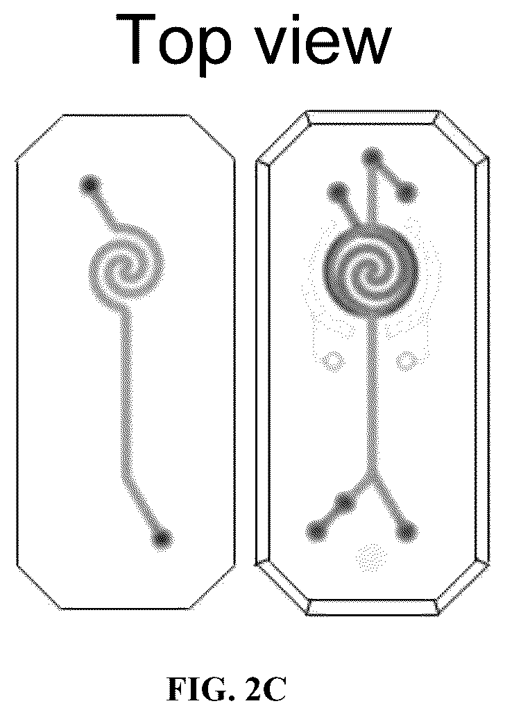 Patent US12098352 Figure 5 – Stem cell-based lung-on-chip models