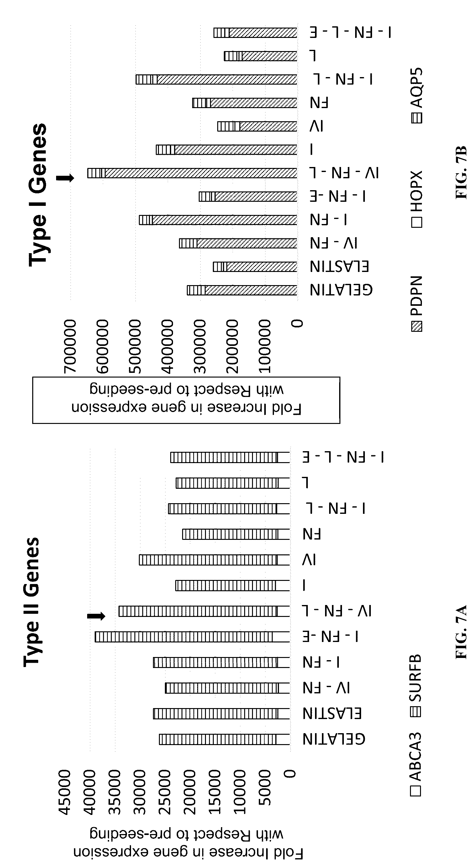 Patent US12098352 Figure 15 – Stem cell-based lung-on-chip models