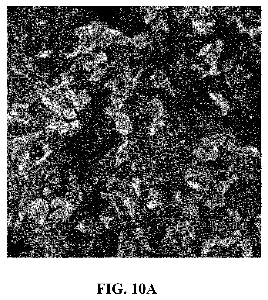 Patent US12098352 Figure 18 – Stem cell-based lung-on-chip models