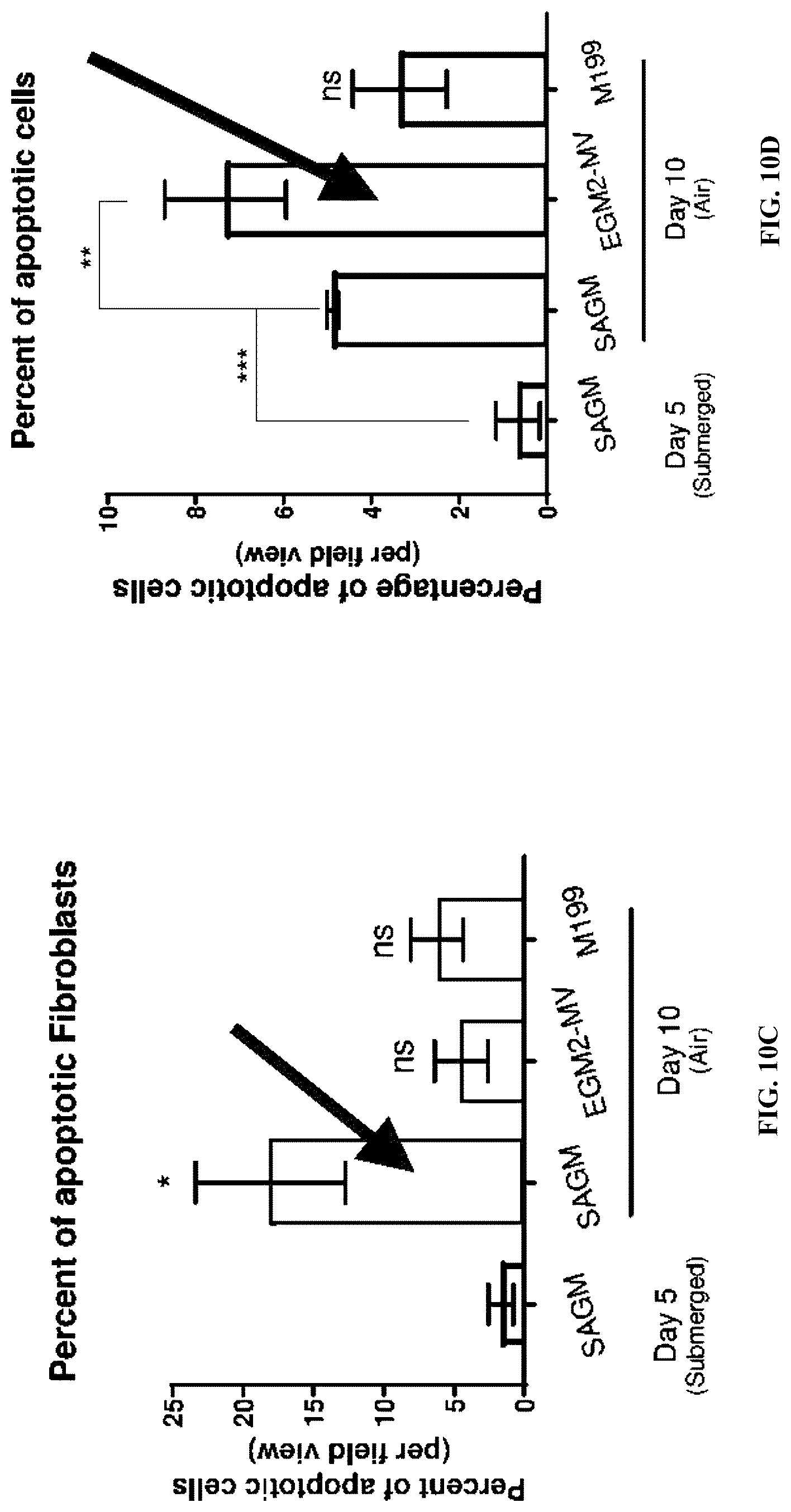 Patent US12098352 Figure 20 – Stem cell-based lung-on-chip models