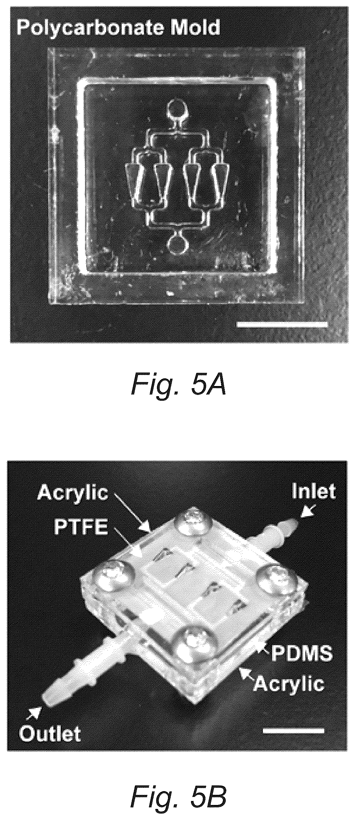 Patent US12098353 Figure 7 – Fluidic device for long-term explant culture and imaging