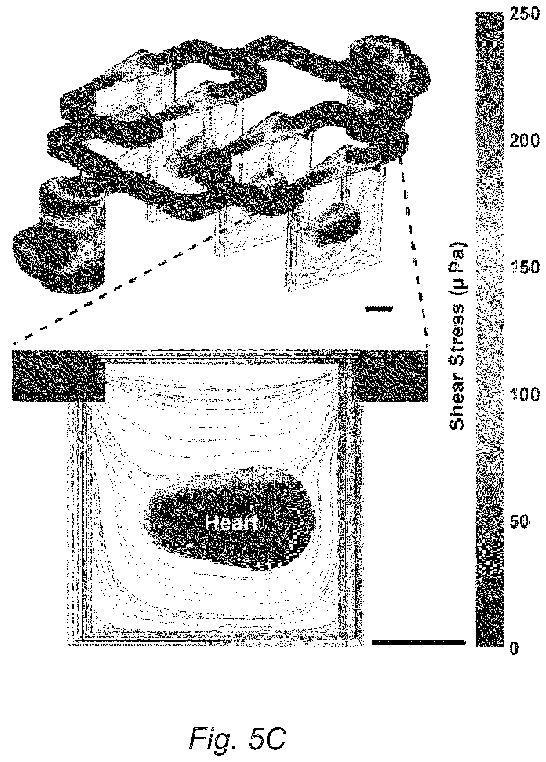 Patent US12098353 Figure 8 – Fluidic device for long-term explant culture and imaging