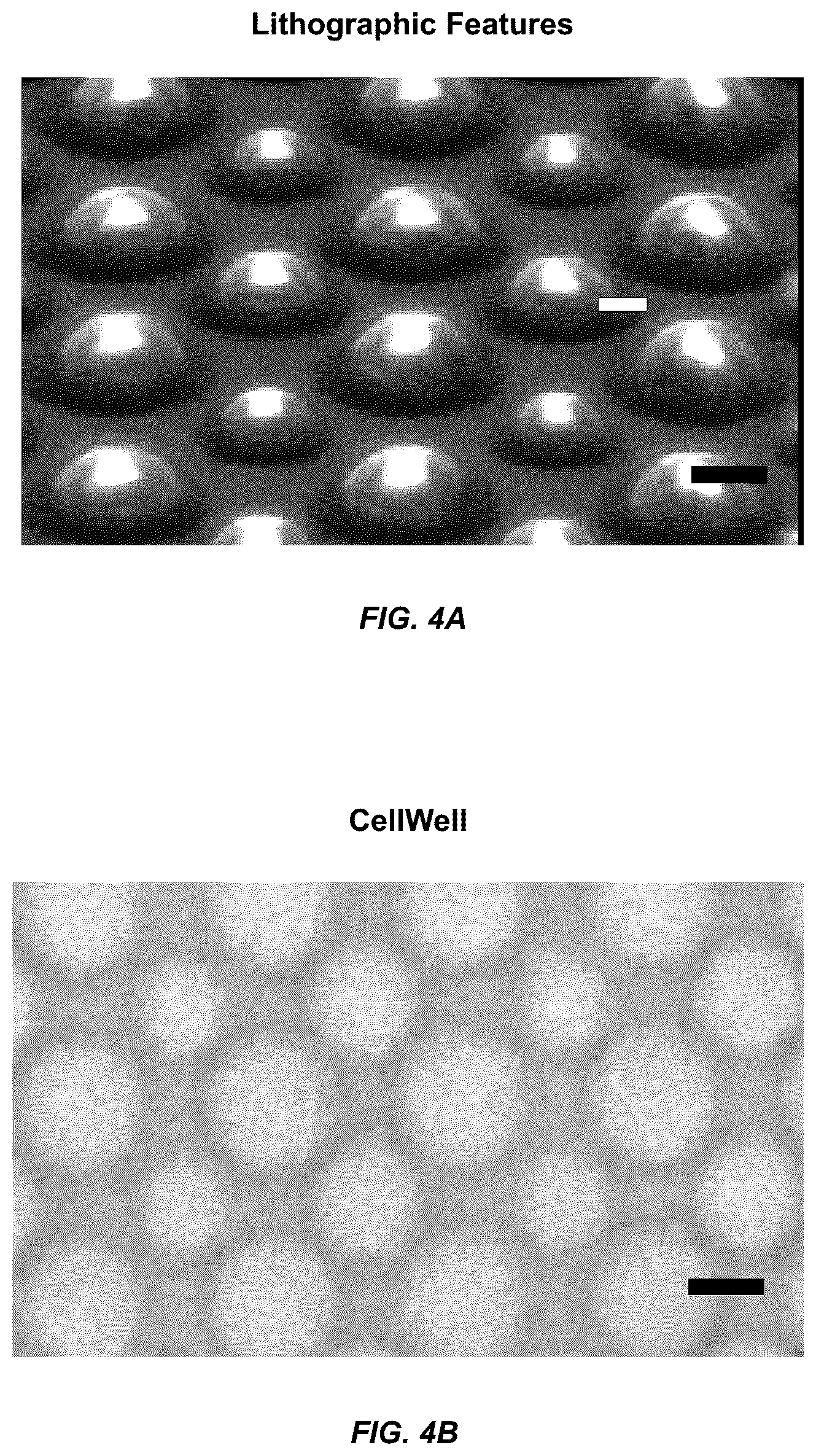 Patent US12098354 Figure 4 – Micropatterned hydrogel for cell cultures