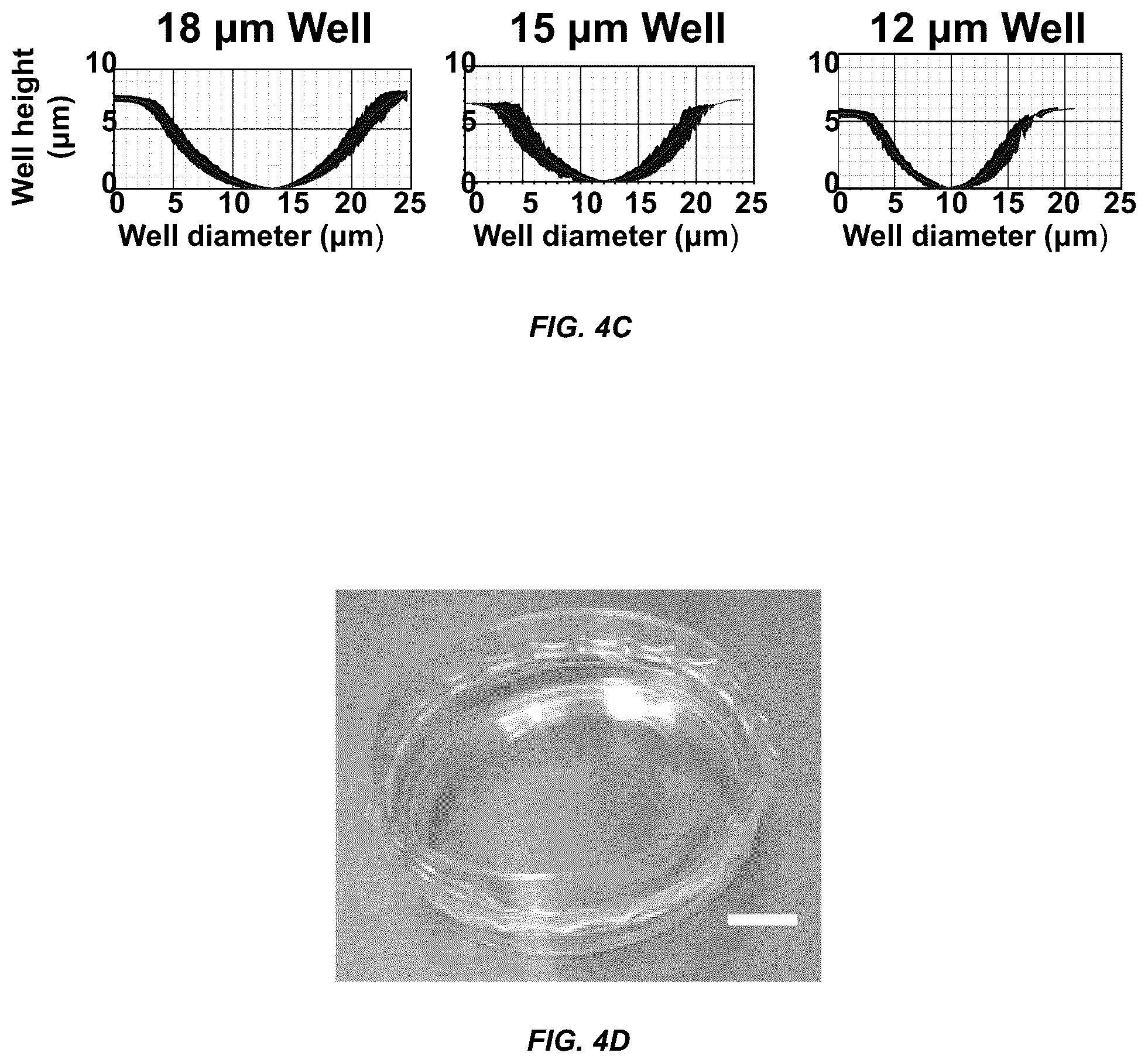 Patent US12098354 Figure 5 – Micropatterned hydrogel for cell cultures