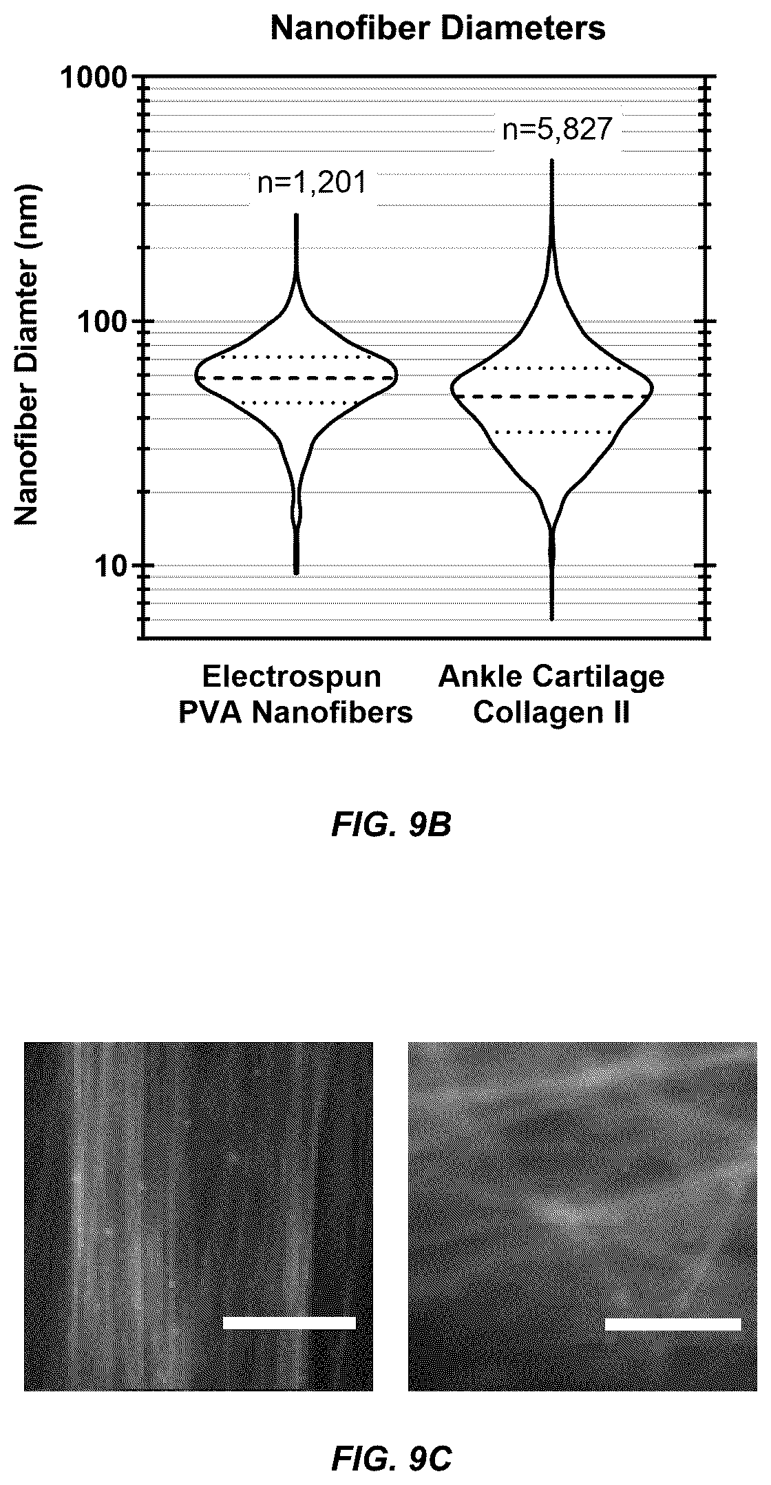 Patent US12098354 Figure 13 – Micropatterned hydrogel for cell cultures