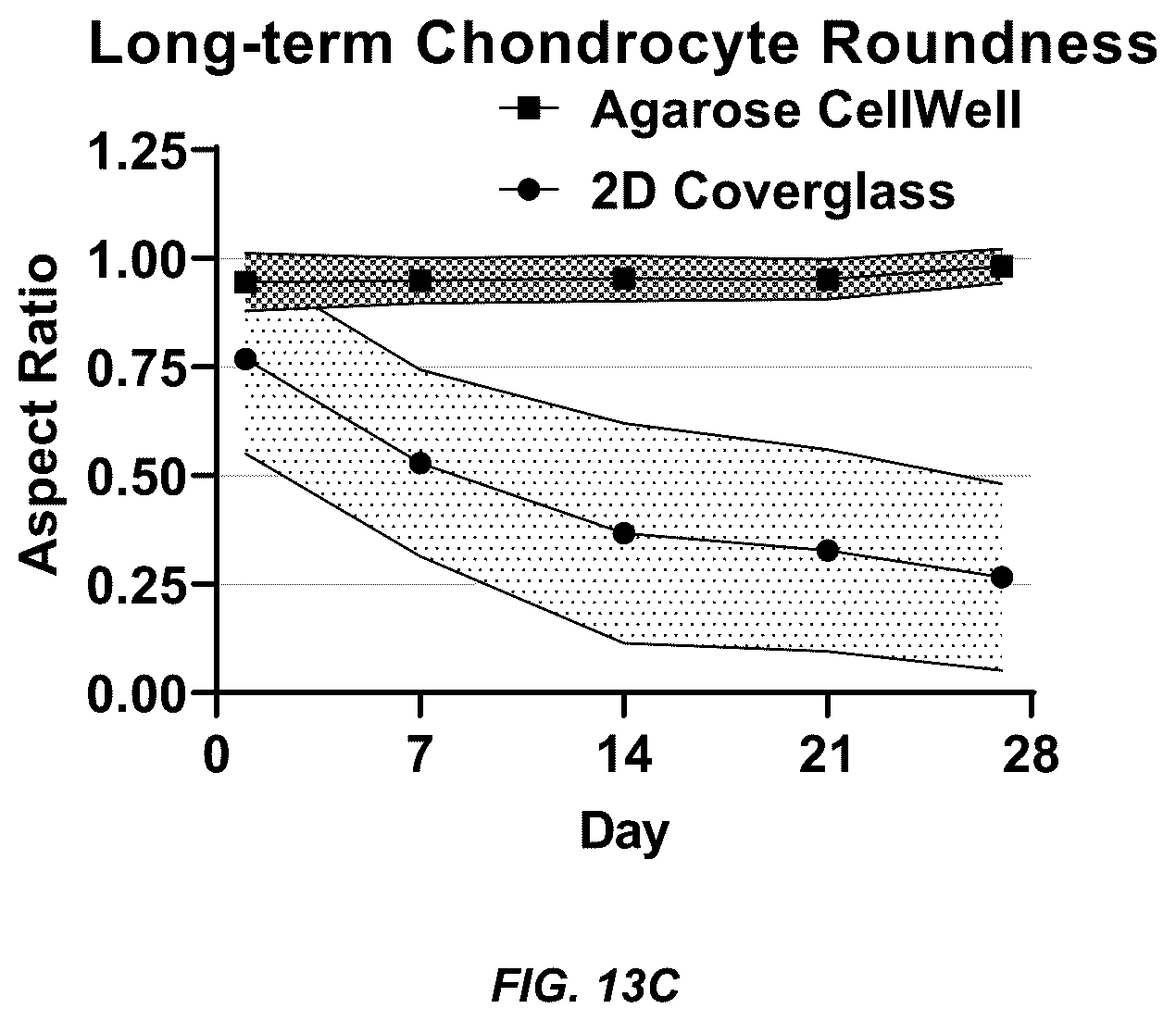 Patent US12098354 Figure 18 – Micropatterned hydrogel for cell cultures
