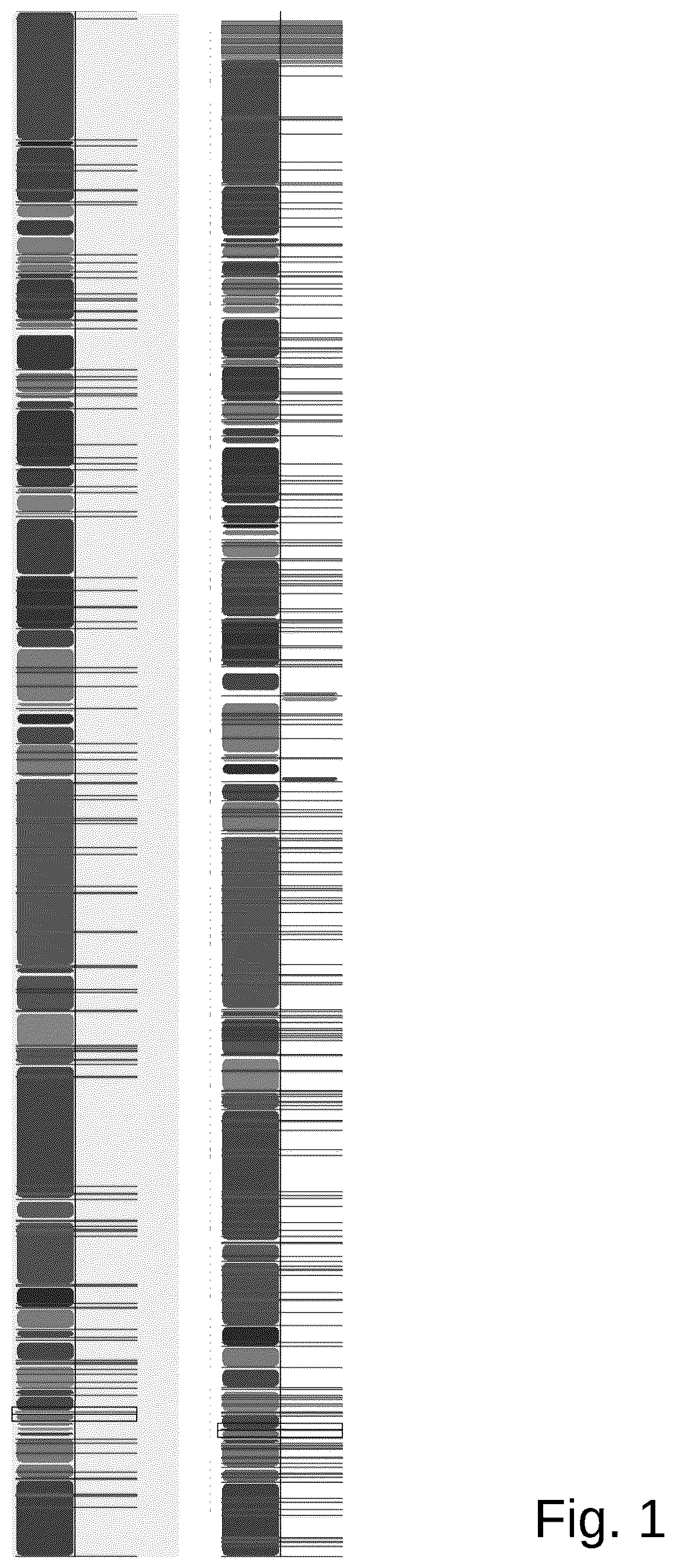 Patent US12098361 Figure 1 – Attenuated Histomonas meleagridis strain and vaccine