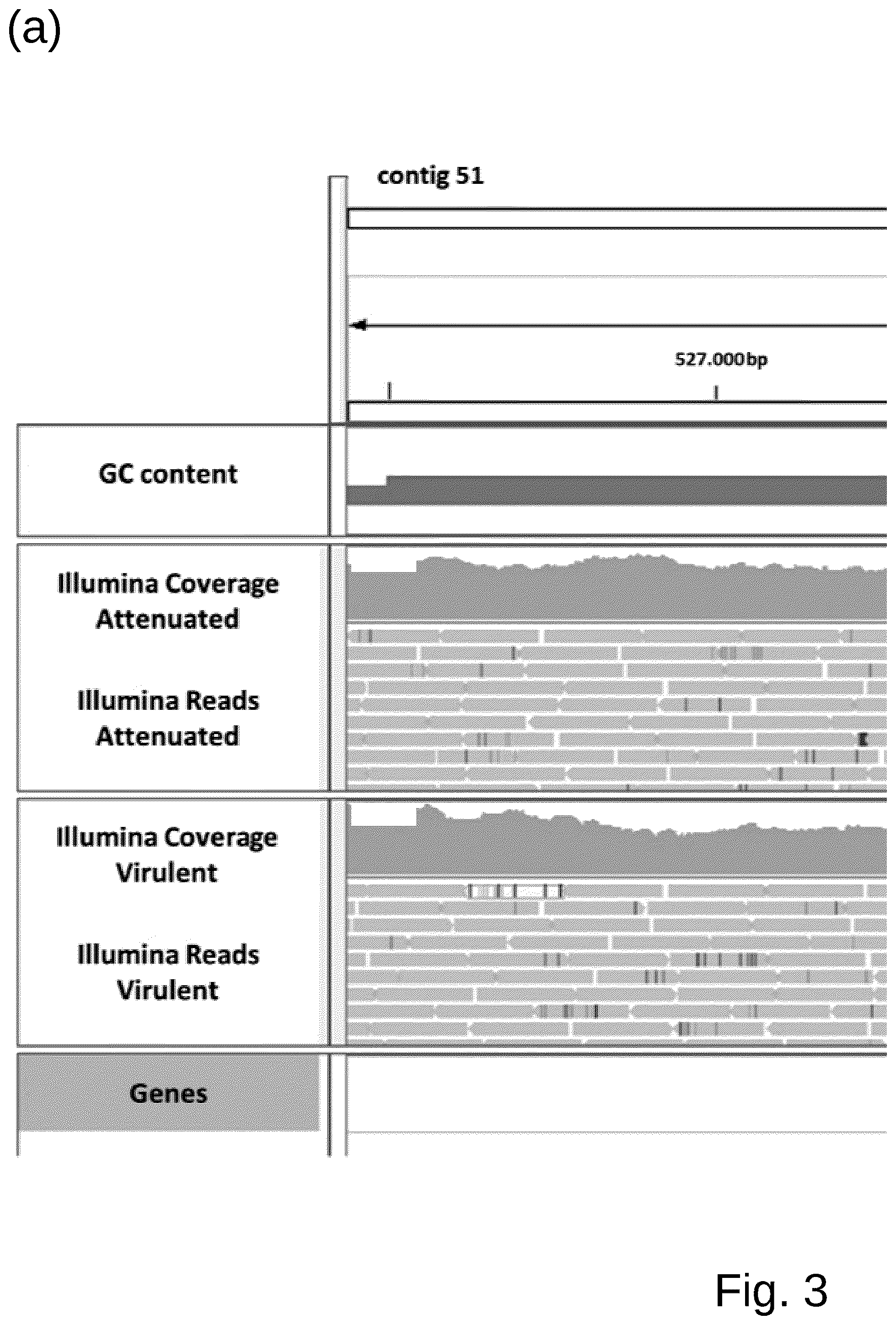 Patent US12098361 Figure 8 – Attenuated Histomonas meleagridis strain and vaccine