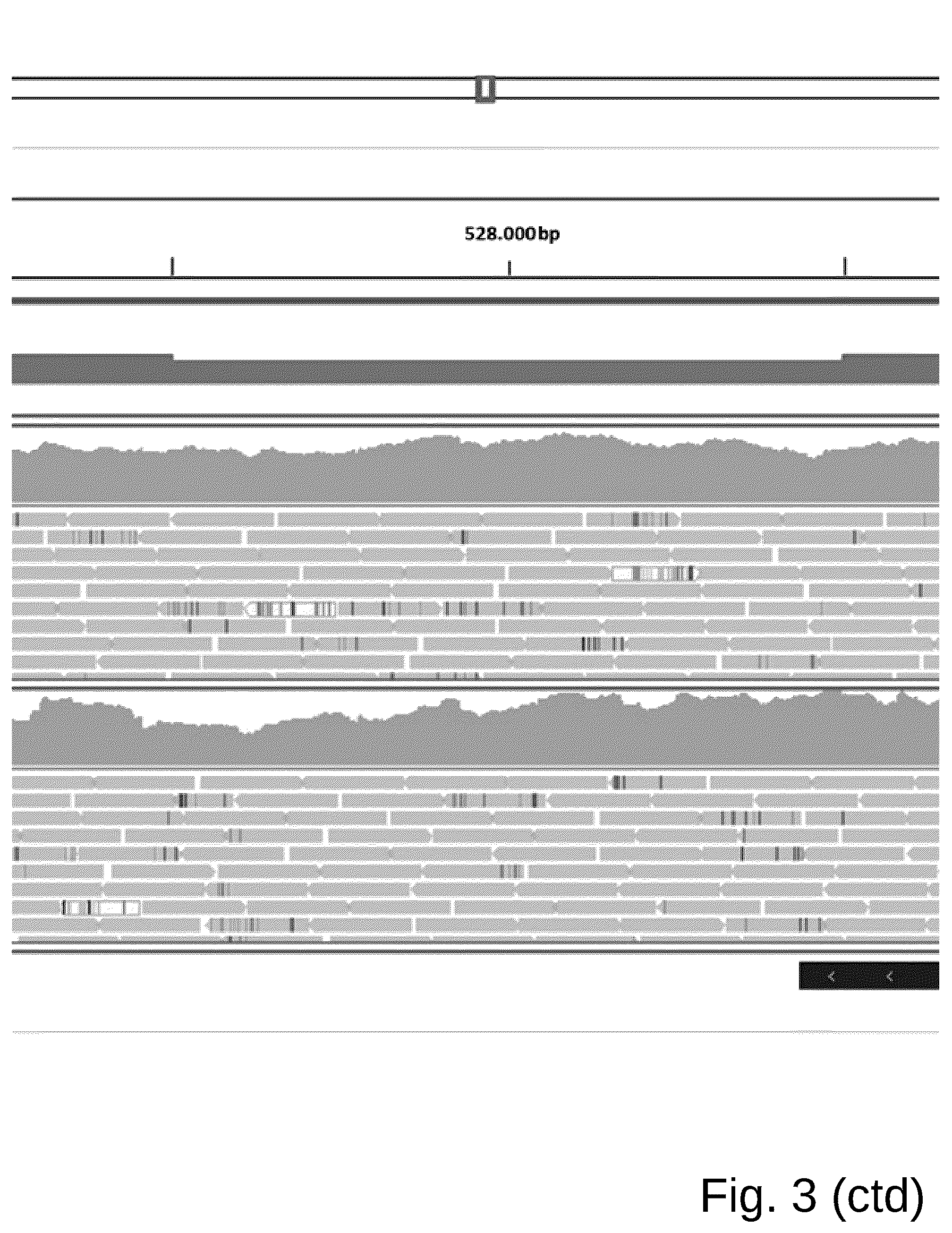 Patent US12098361 Figure 9 – Attenuated Histomonas meleagridis strain and vaccine