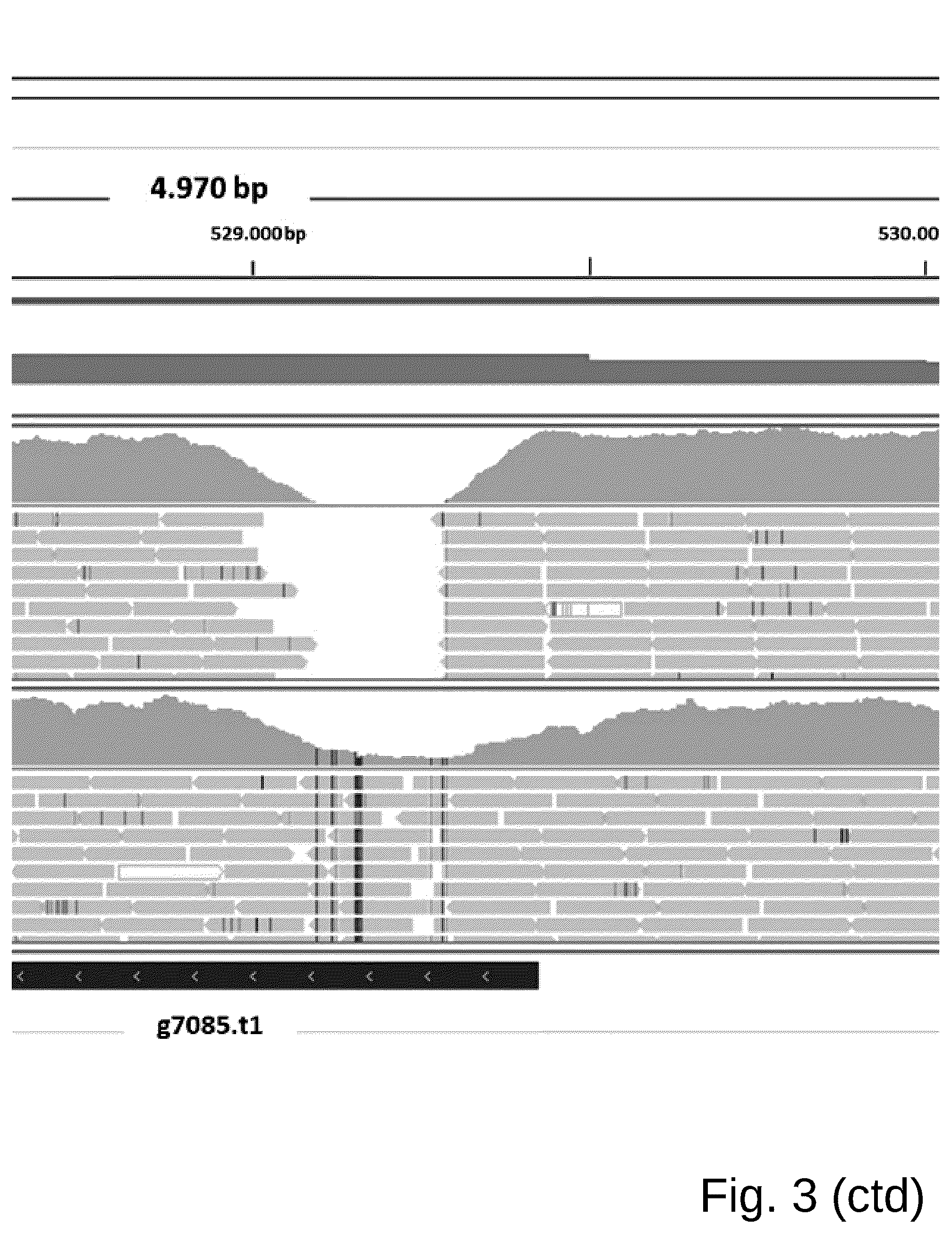 Patent US12098361 Figure 10 – Attenuated Histomonas meleagridis strain and vaccine
