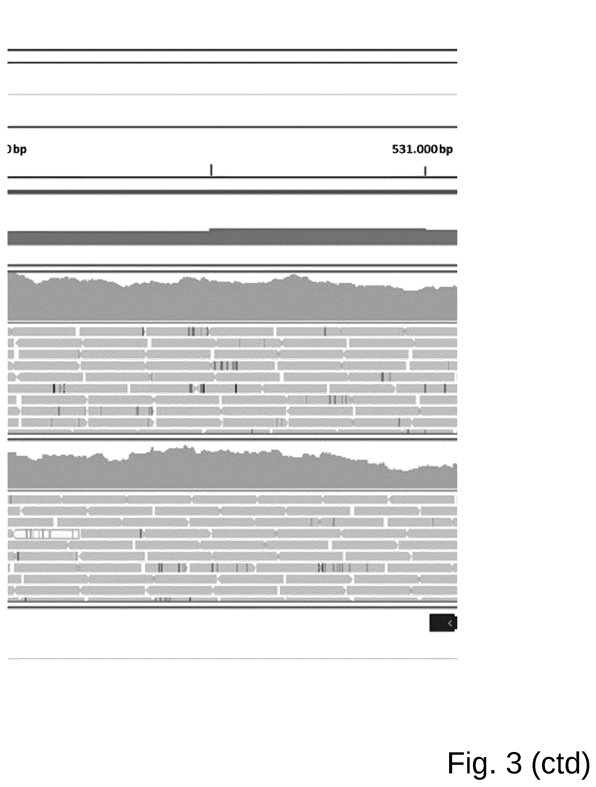 Patent US12098361 Figure 11 – Attenuated Histomonas meleagridis strain and vaccine