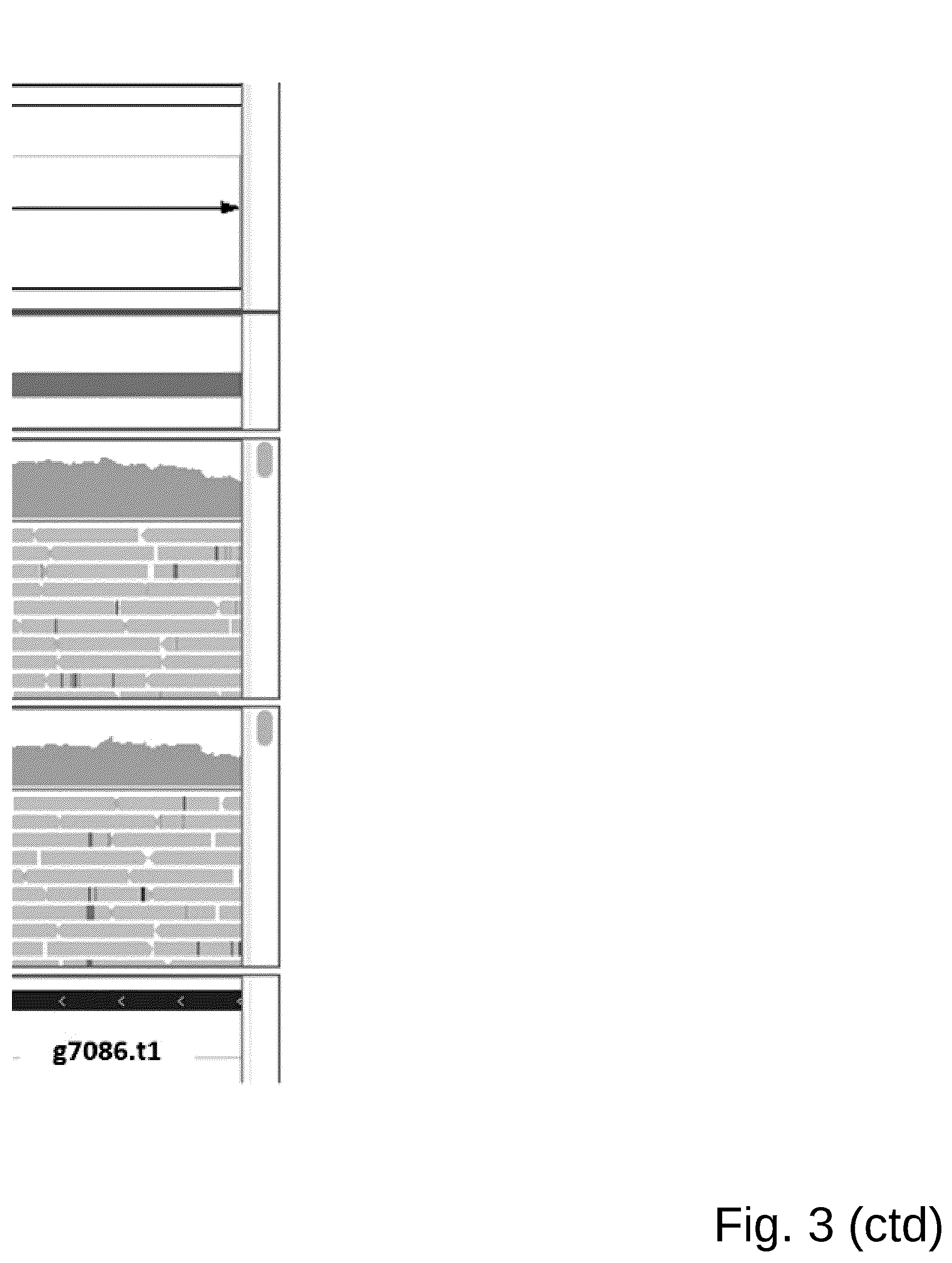 Patent US12098361 Figure 12 – Attenuated Histomonas meleagridis strain and vaccine