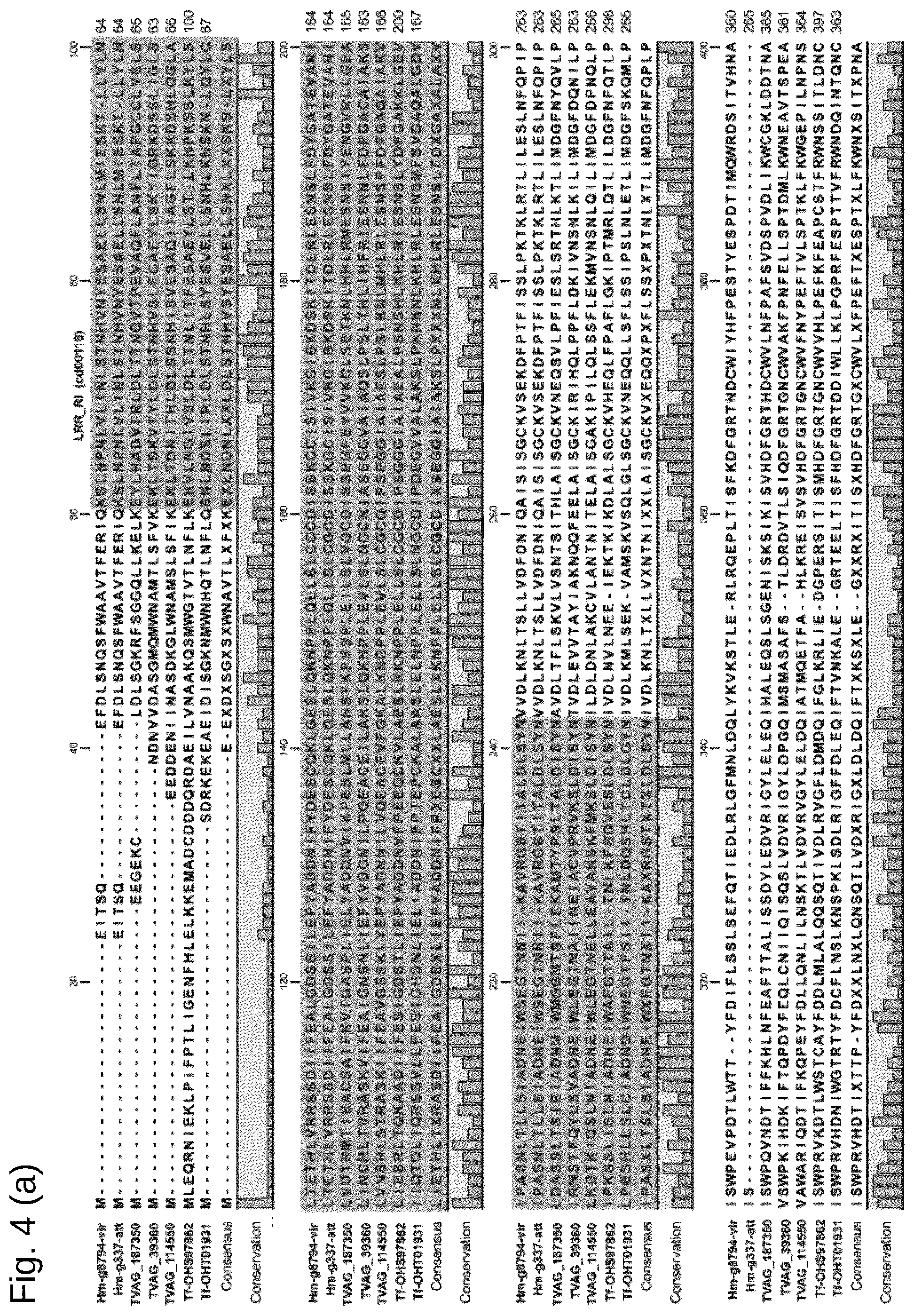 Patent US12098361 Figure 15 – Attenuated Histomonas meleagridis strain and vaccine