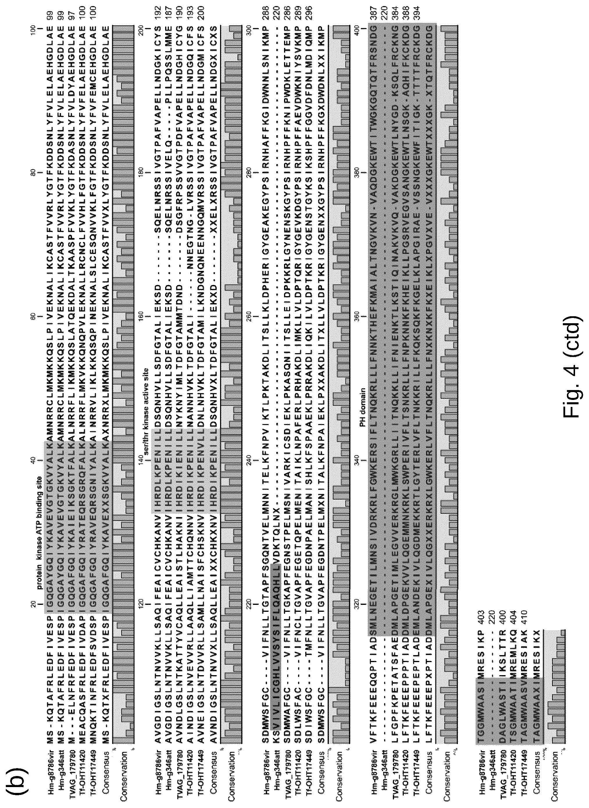 Patent US12098361 Figure 17 – Attenuated Histomonas meleagridis strain and vaccine