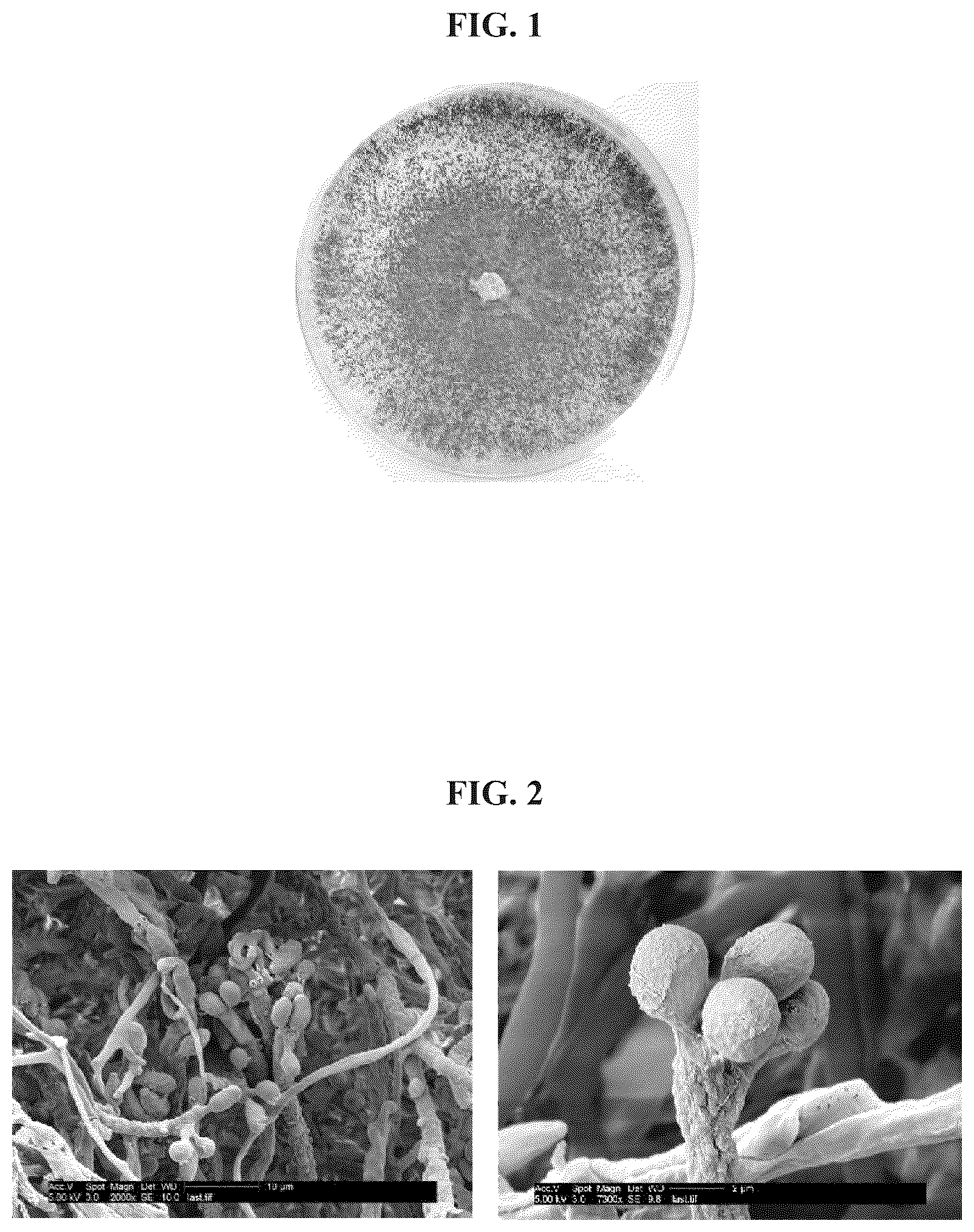 Patent US12098362 Figure 1 – Uses of Daldinia sp. or volatile organic compounds derived therefrom