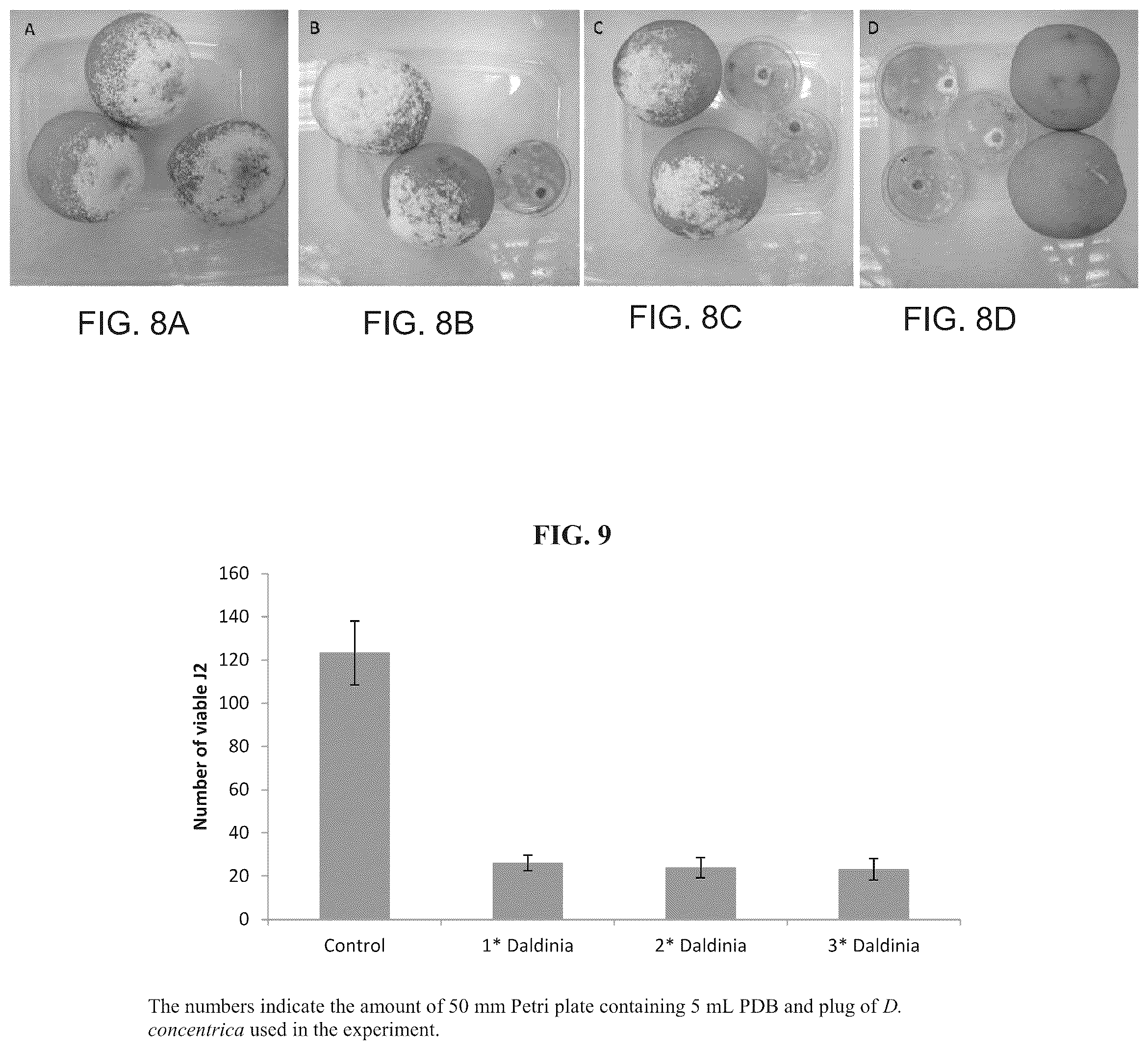 Patent US12098362 Figure 5 – Uses of Daldinia sp. or volatile organic compounds derived therefrom
