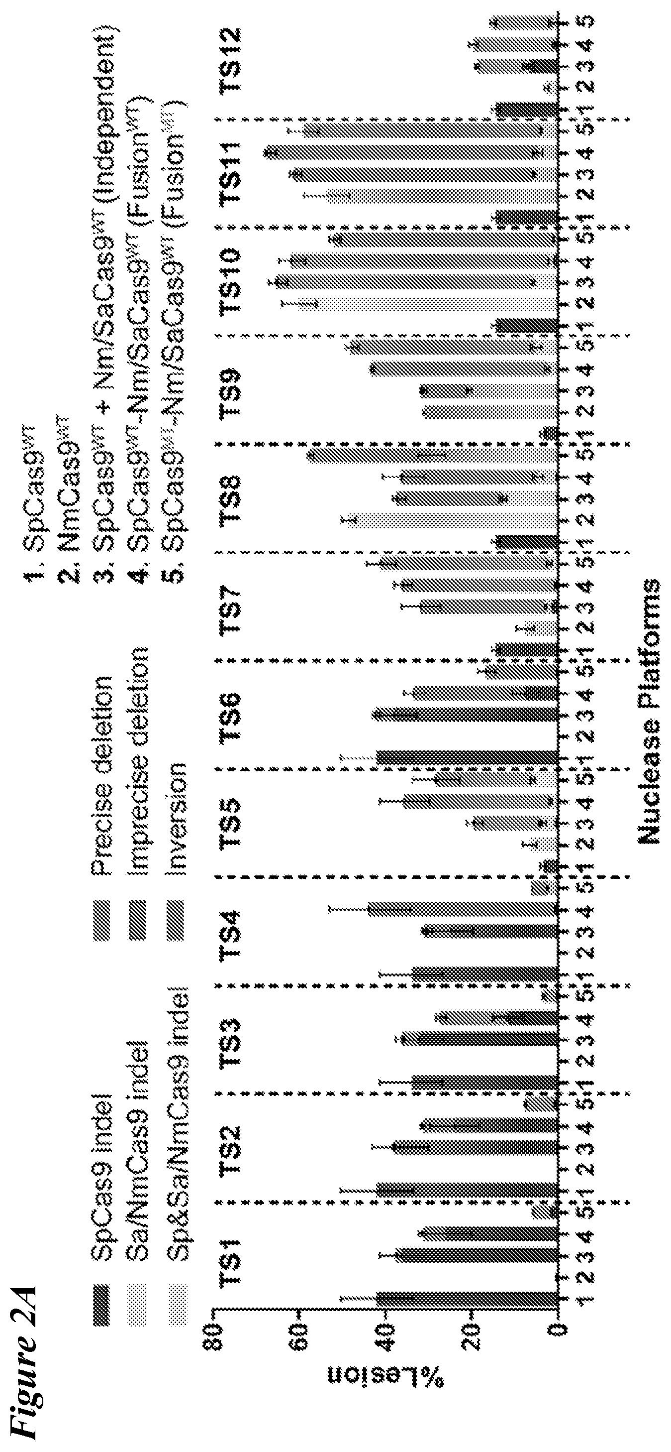 Patent US12098363 Figure 2 – Targeting BCL11A distal regulatory elements with a CAS9-CAS9 fusion for fetal hemoglobin reinduction