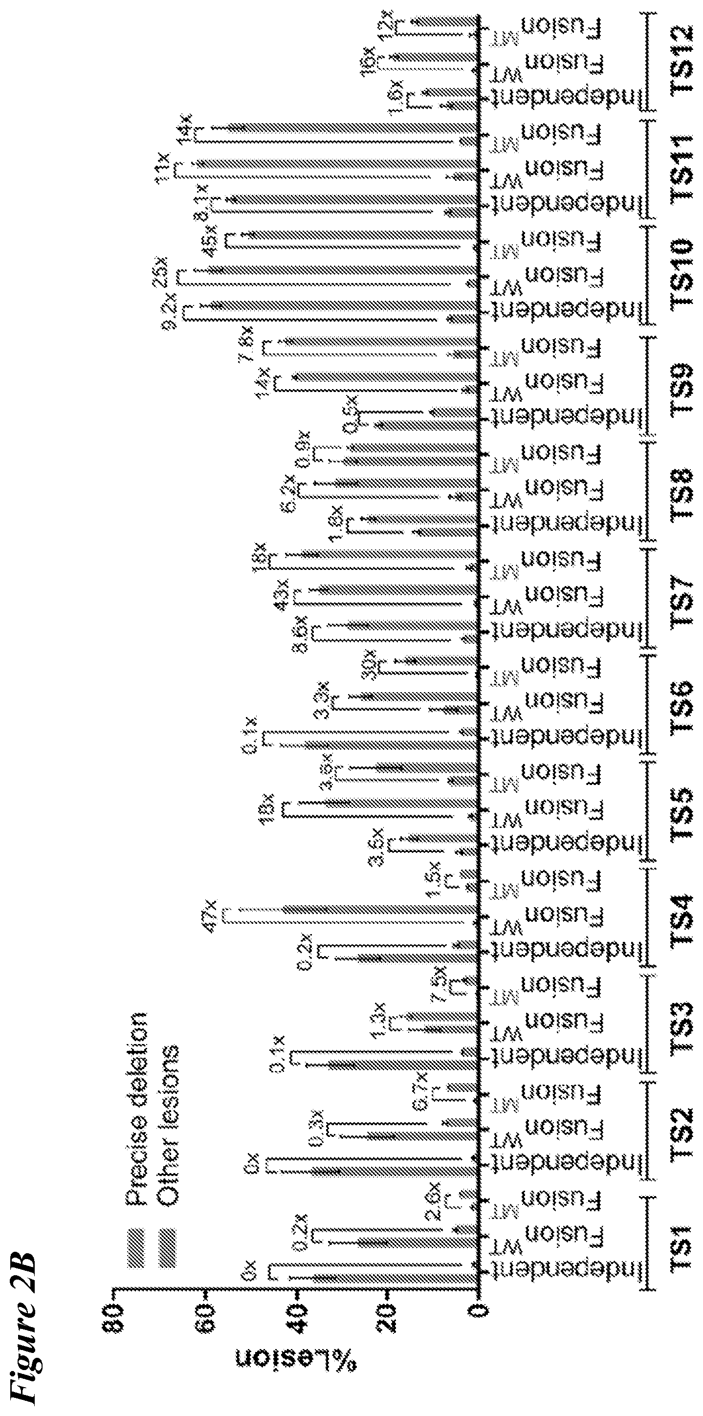 Patent US12098363 Figure 3 – Targeting BCL11A distal regulatory elements with a CAS9-CAS9 fusion for fetal hemoglobin reinduction
