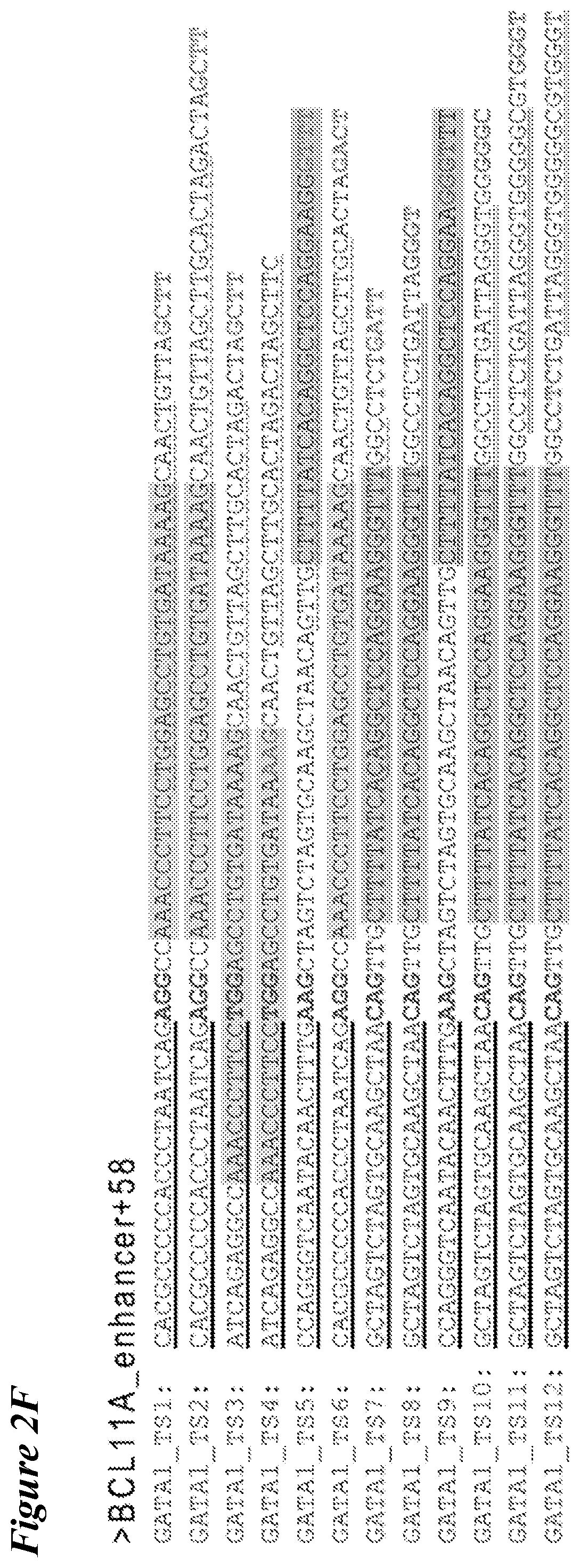 Patent US12098363 Figure 5 – Targeting BCL11A distal regulatory elements with a CAS9-CAS9 fusion for fetal hemoglobin reinduction