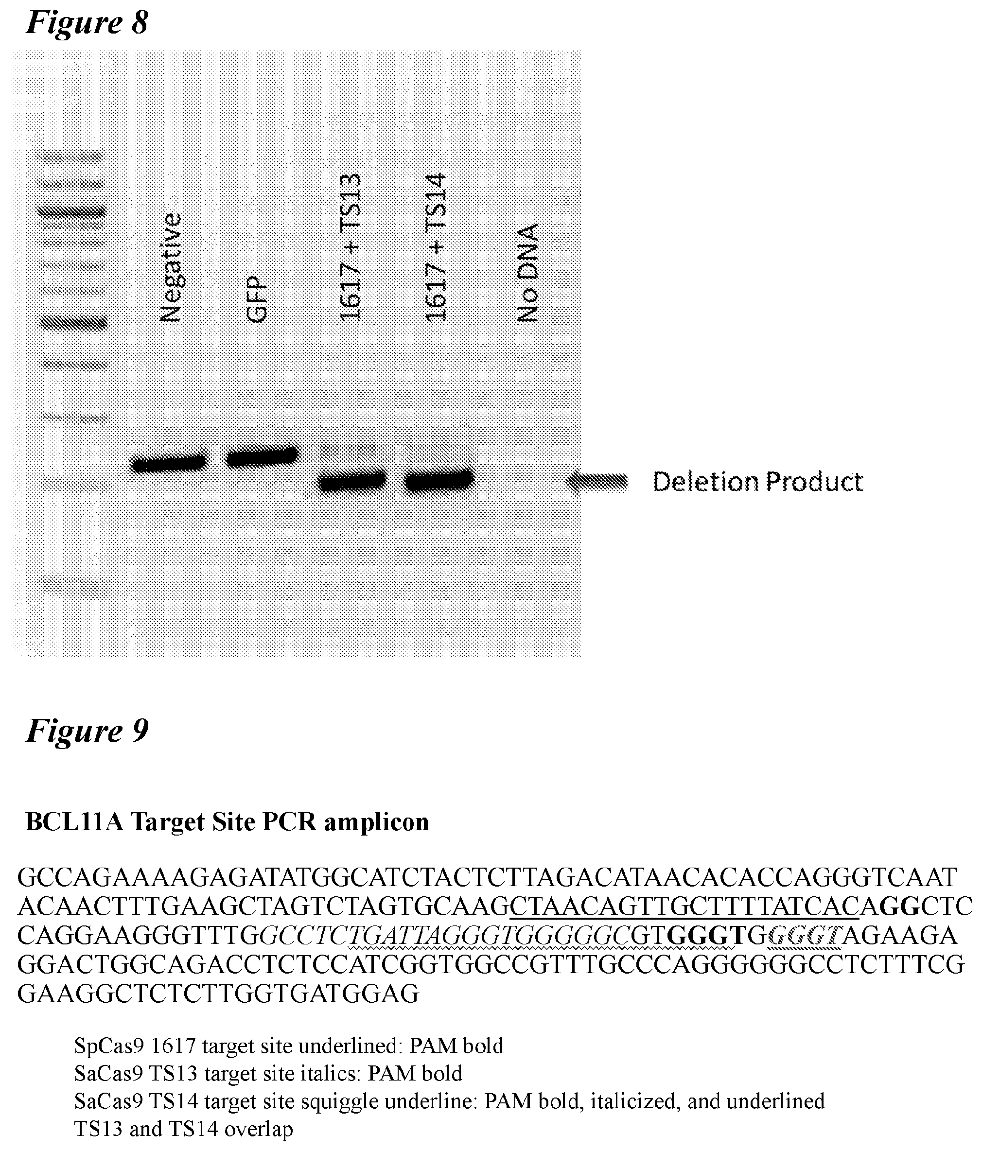 Patent US12098363 Figure 9 – Targeting BCL11A distal regulatory elements with a CAS9-CAS9 fusion for fetal hemoglobin reinduction
