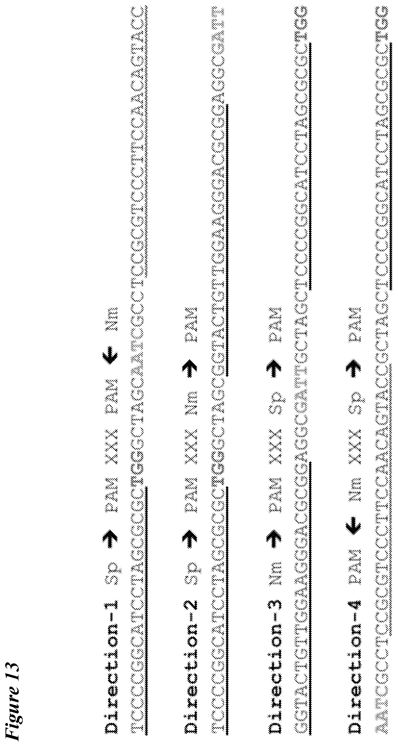 Patent US12098363 Figure 12 – Targeting BCL11A distal regulatory elements with a CAS9-CAS9 fusion for fetal hemoglobin reinduction