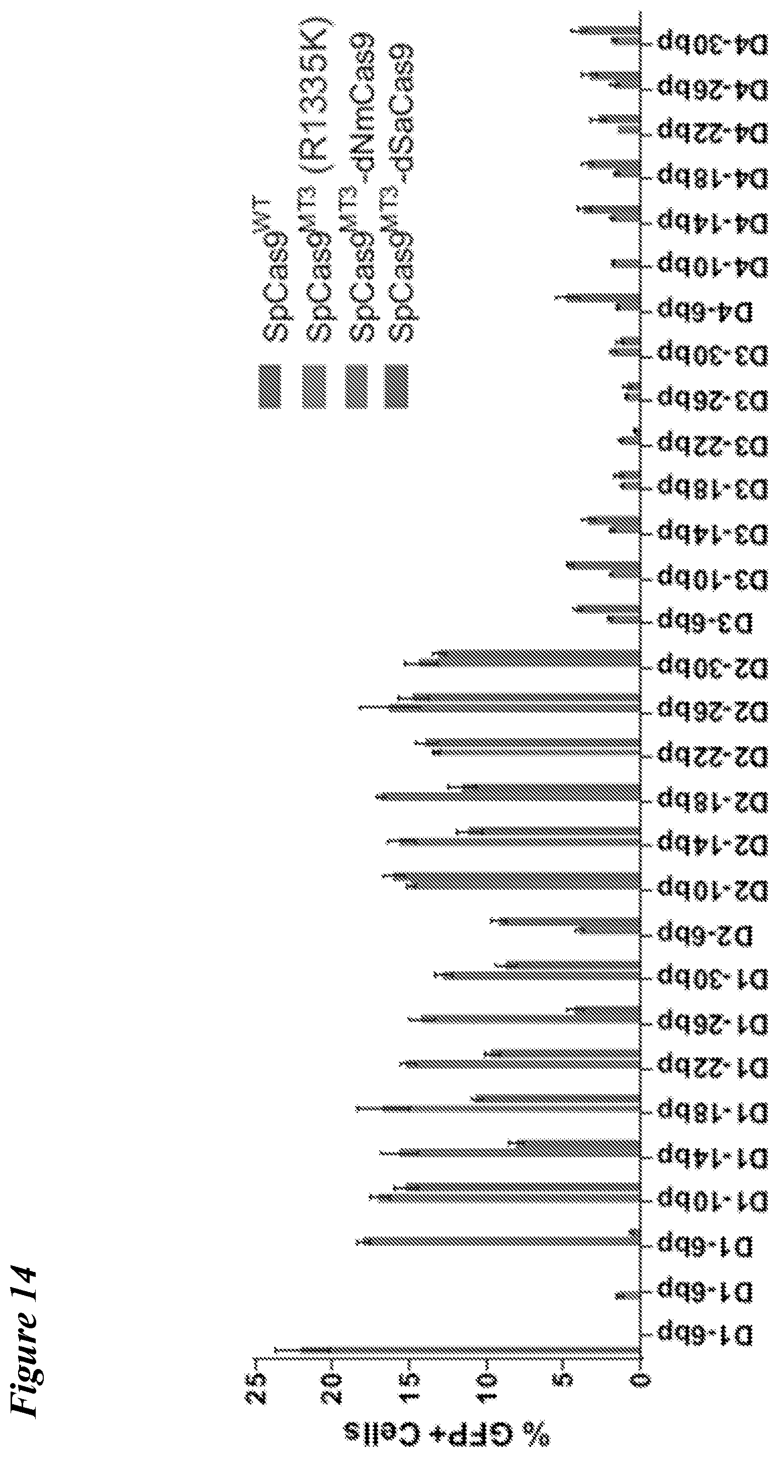 Patent US12098363 Figure 13 – Targeting BCL11A distal regulatory elements with a CAS9-CAS9 fusion for fetal hemoglobin reinduction
