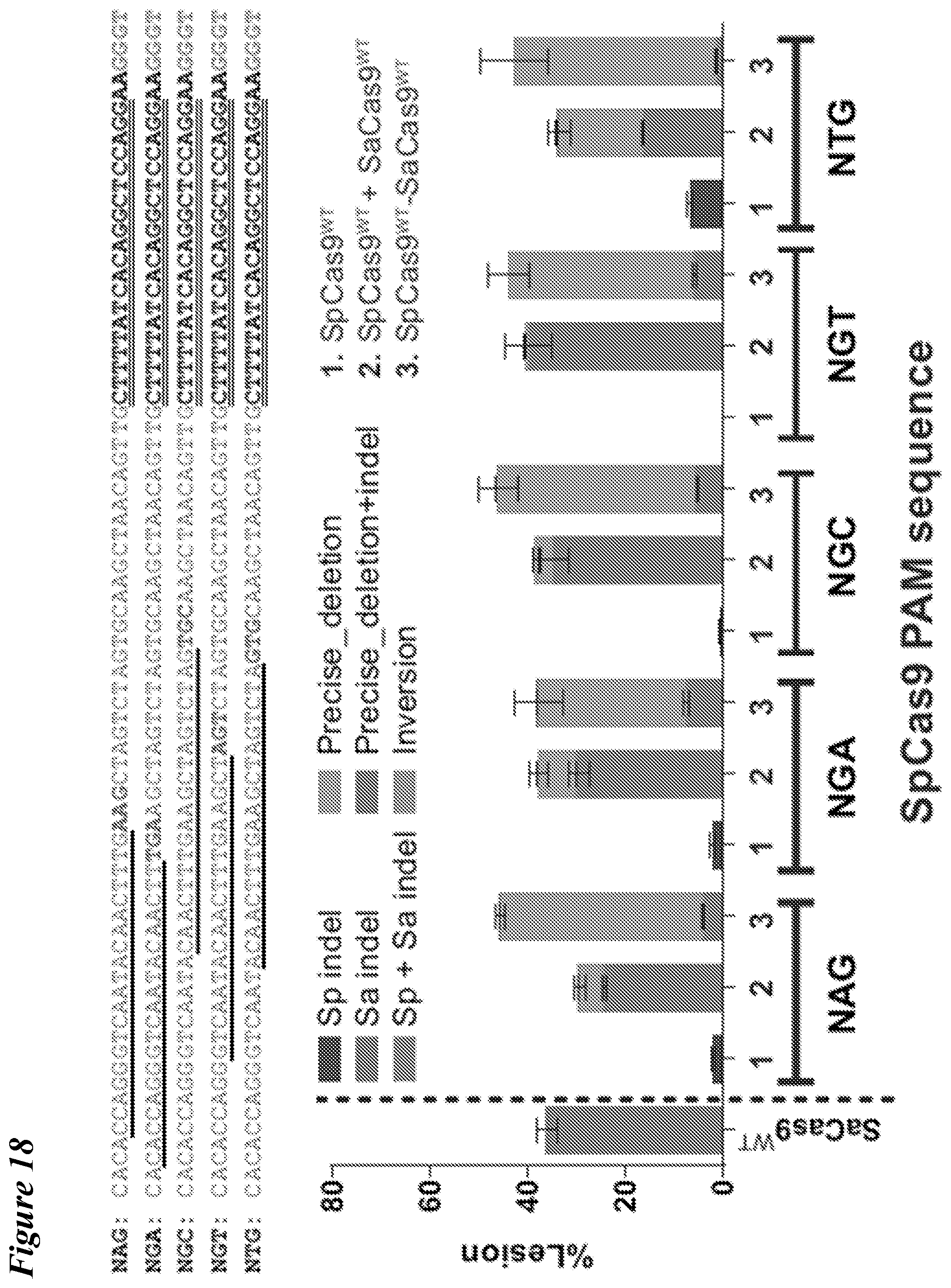Patent US12098363 Figure 17 – Targeting BCL11A distal regulatory elements with a CAS9-CAS9 fusion for fetal hemoglobin reinduction