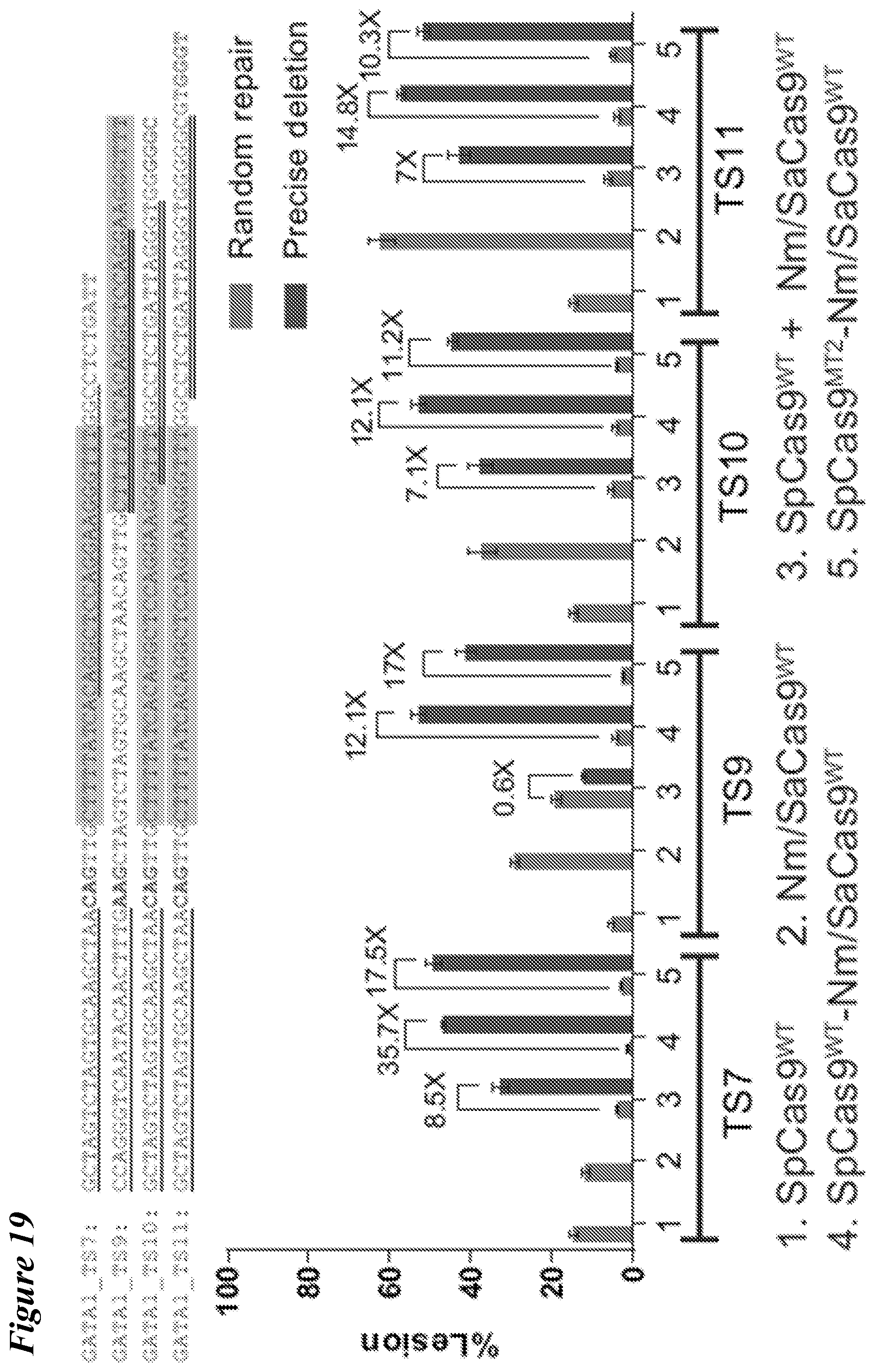 Patent US12098363 Figure 18 – Targeting BCL11A distal regulatory elements with a CAS9-CAS9 fusion for fetal hemoglobin reinduction