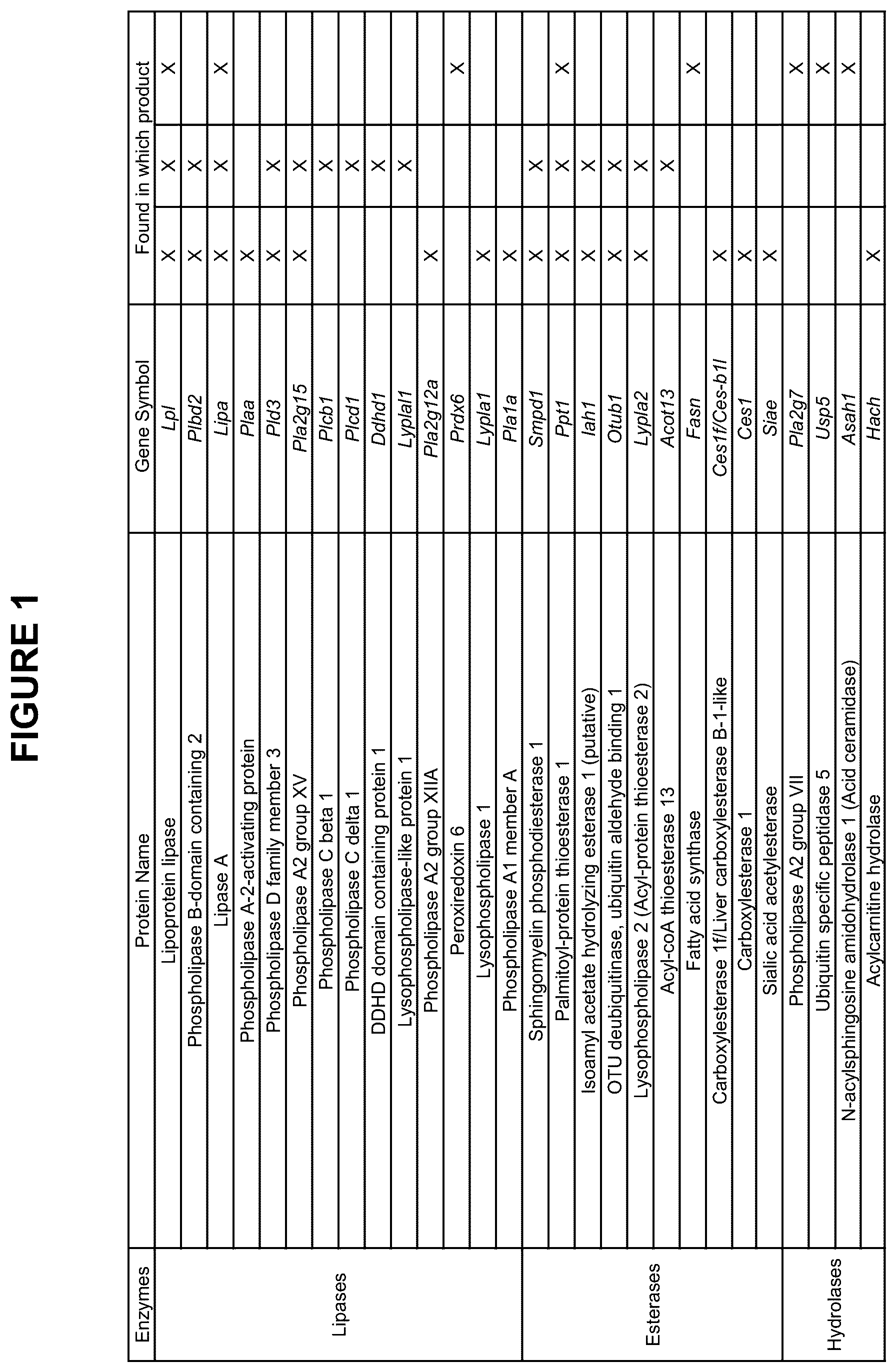 Patent US12098365 Figure 1 – Modified mammalian cells