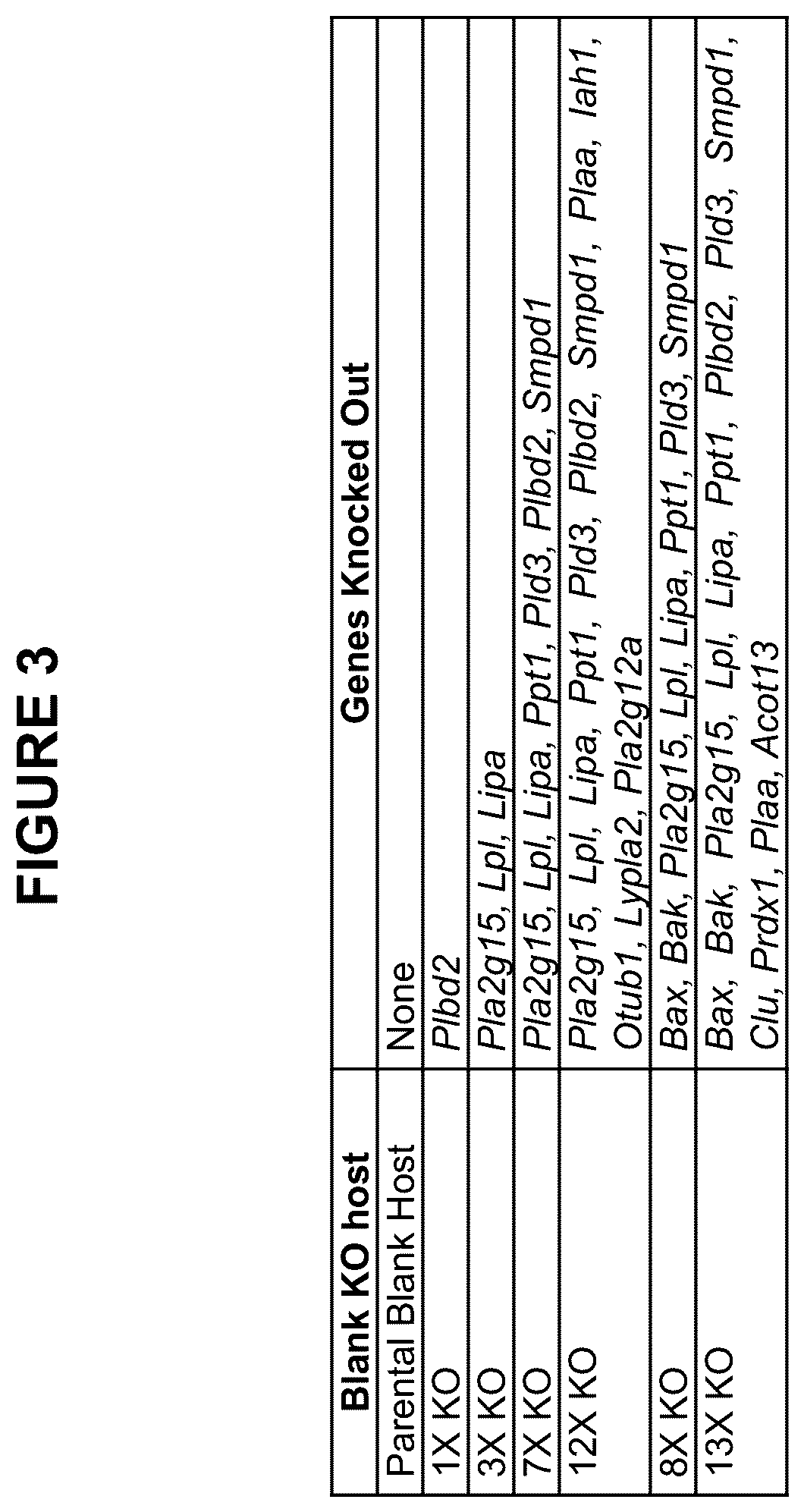 Patent US12098365 Figure 3 – Modified mammalian cells