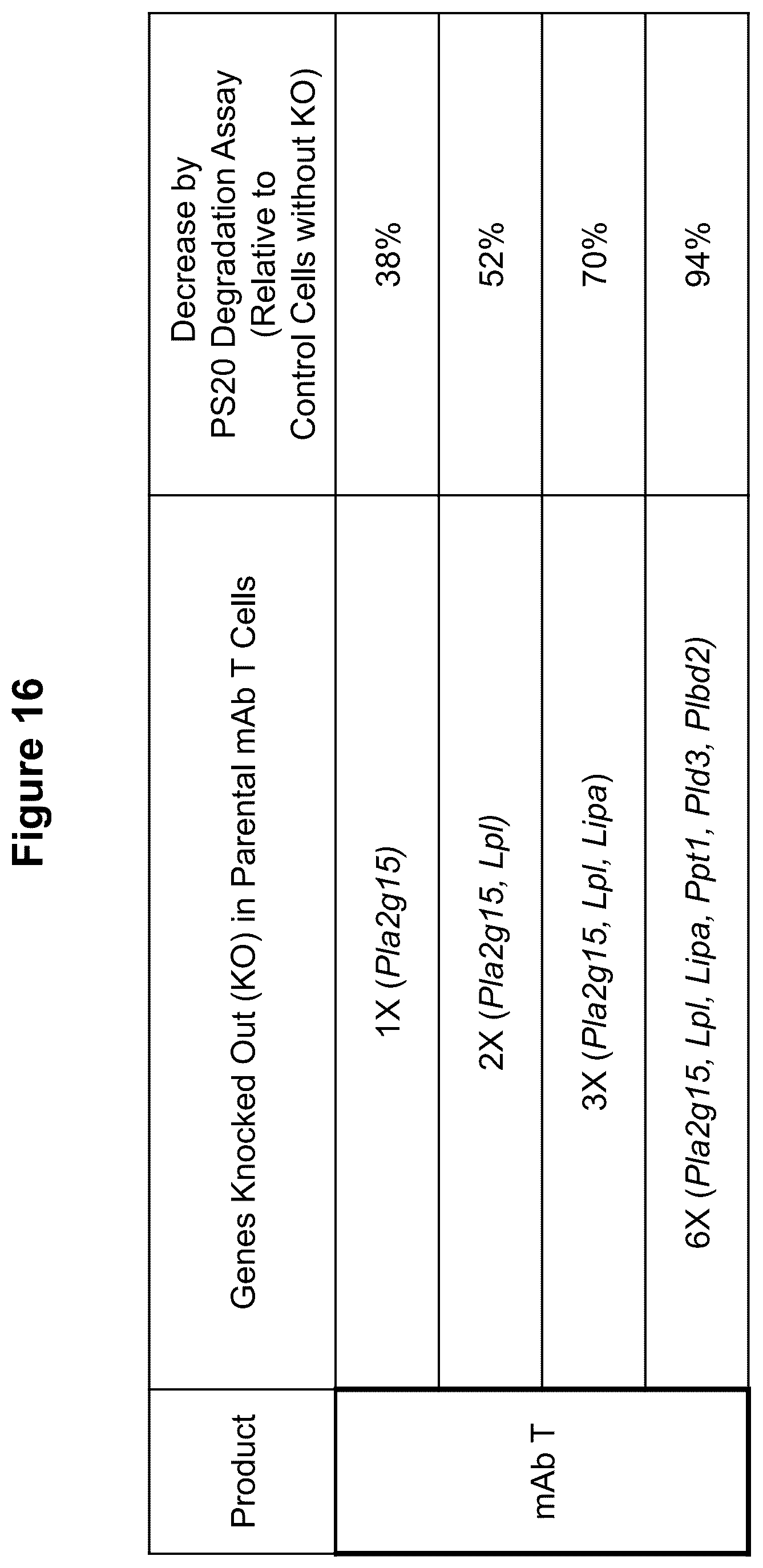Patent US12098365 Figure 16 – Modified mammalian cells