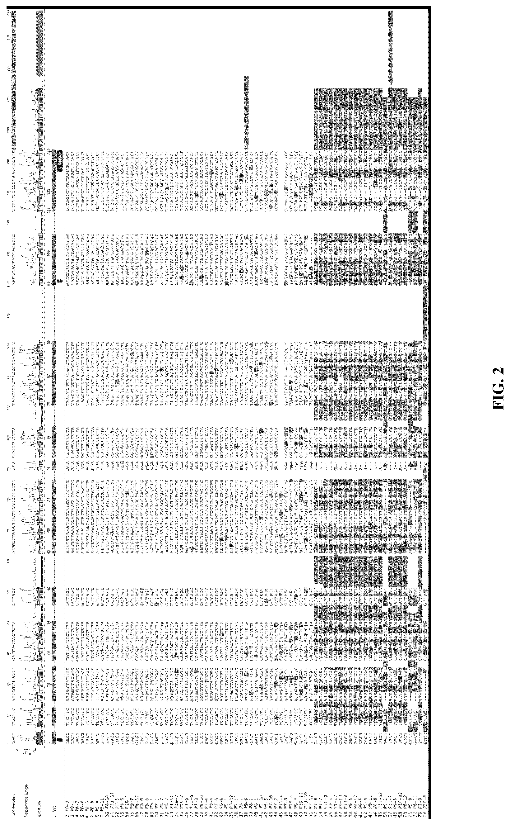 Patent US12098366 Figure 3 – Mutant subgenomic promoter library and uses thereof