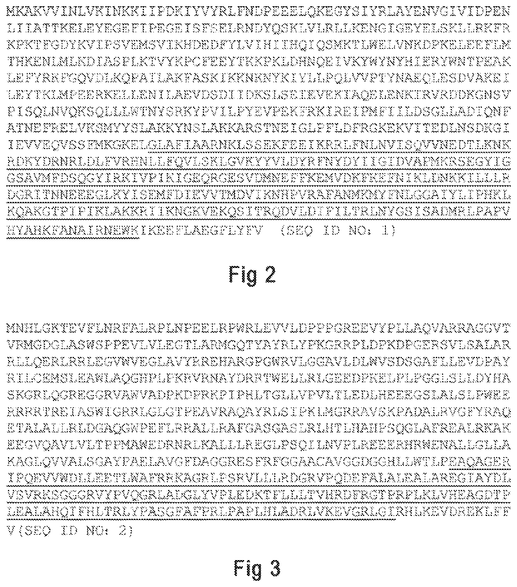 Patent US12098367 Figure 2 – Argonaute protein mutant and use thereof