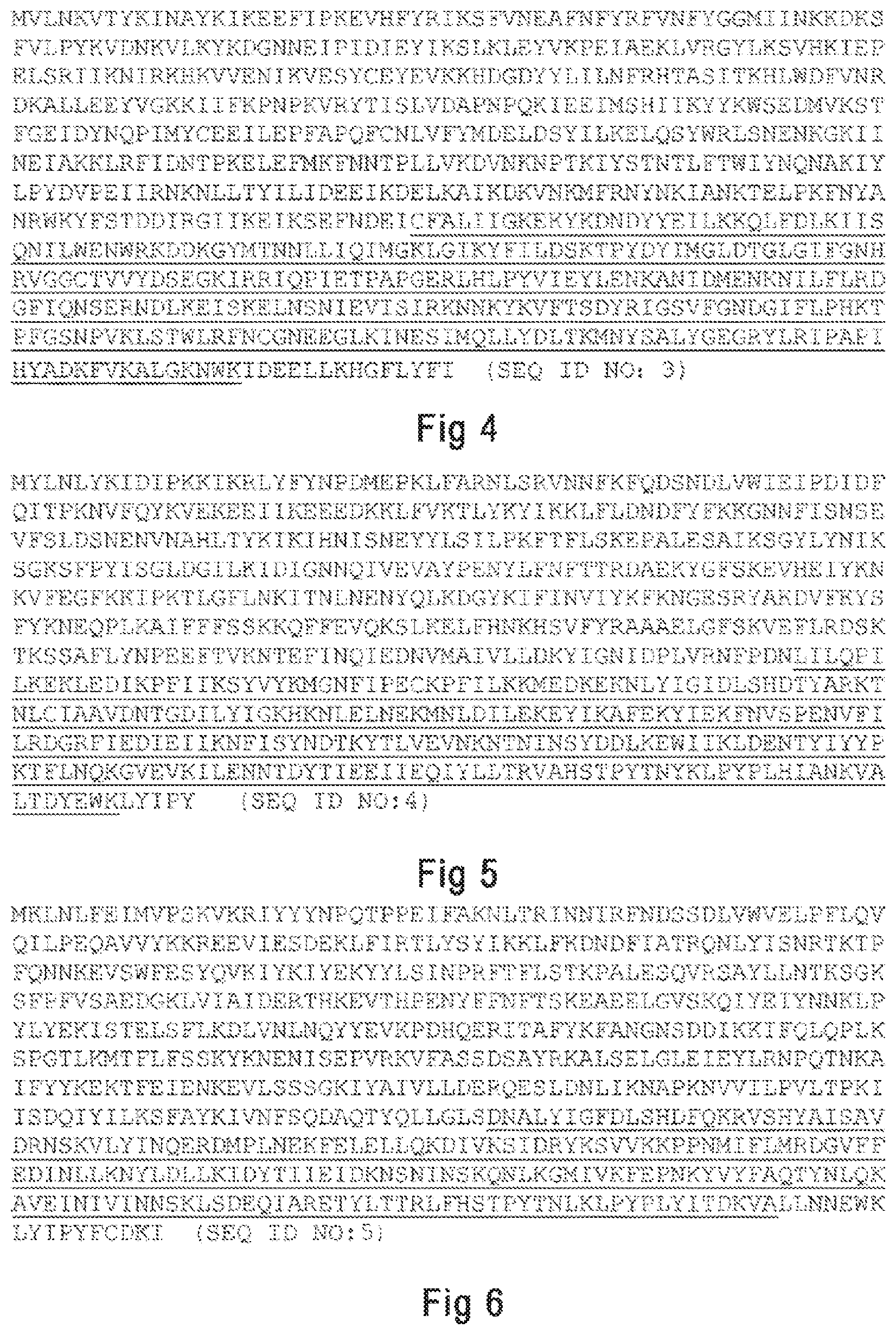 Patent US12098367 Figure 3 – Argonaute protein mutant and use thereof