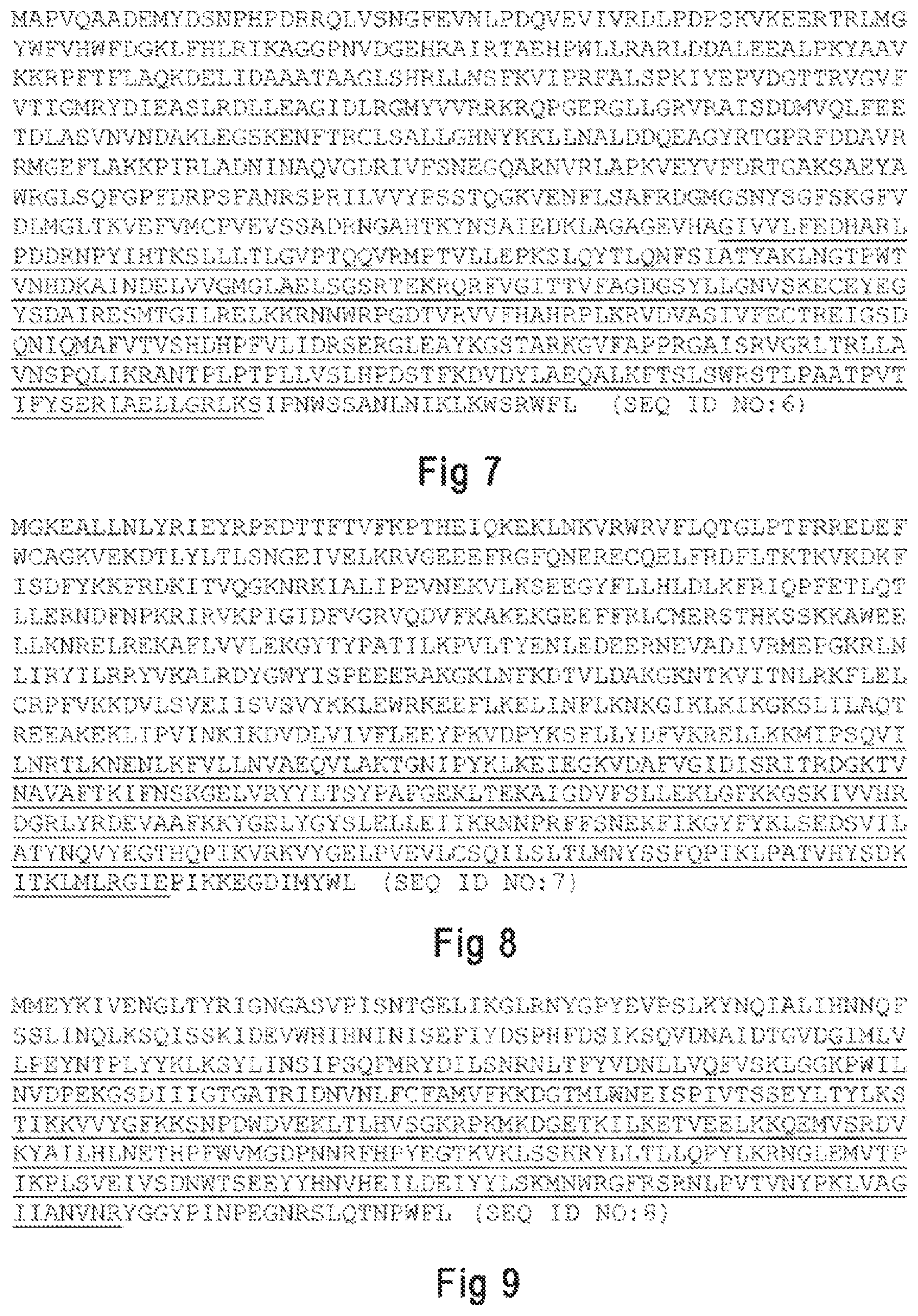 Patent US12098367 Figure 4 – Argonaute protein mutant and use thereof