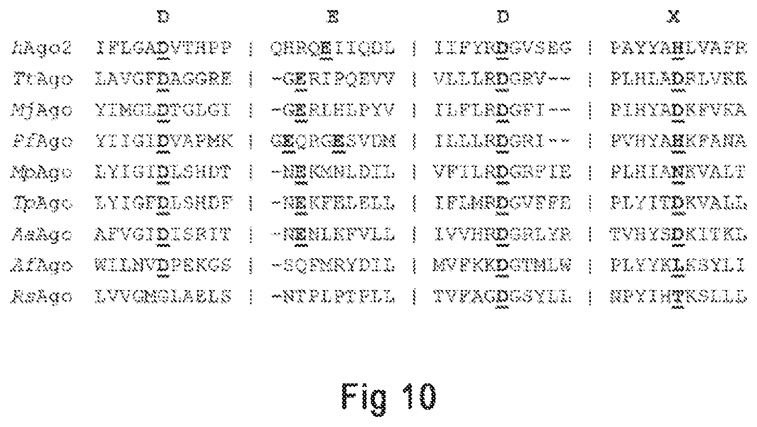 Patent US12098367 Figure 5 – Argonaute protein mutant and use thereof