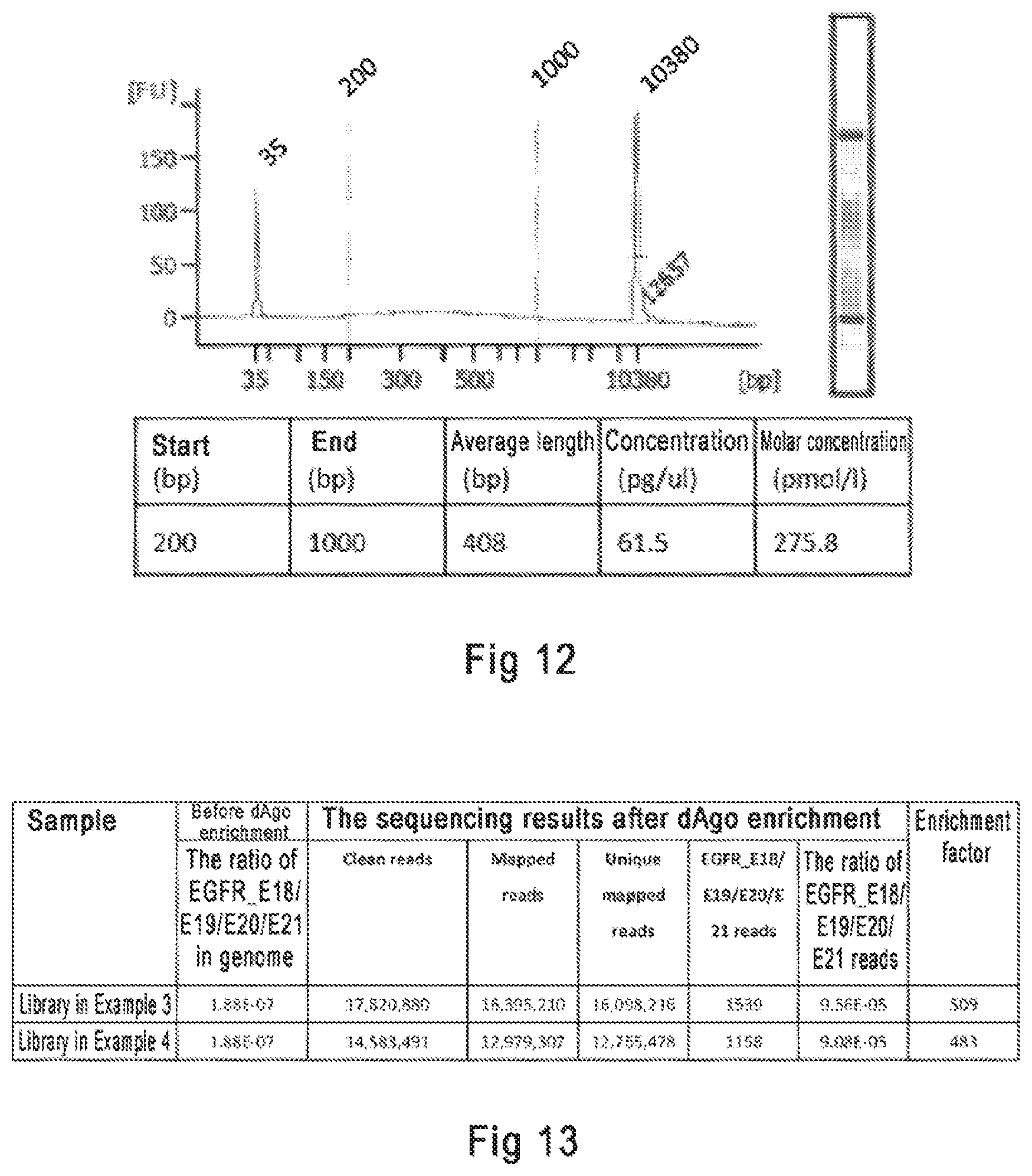 Patent US12098367 Figure 7 – Argonaute protein mutant and use thereof