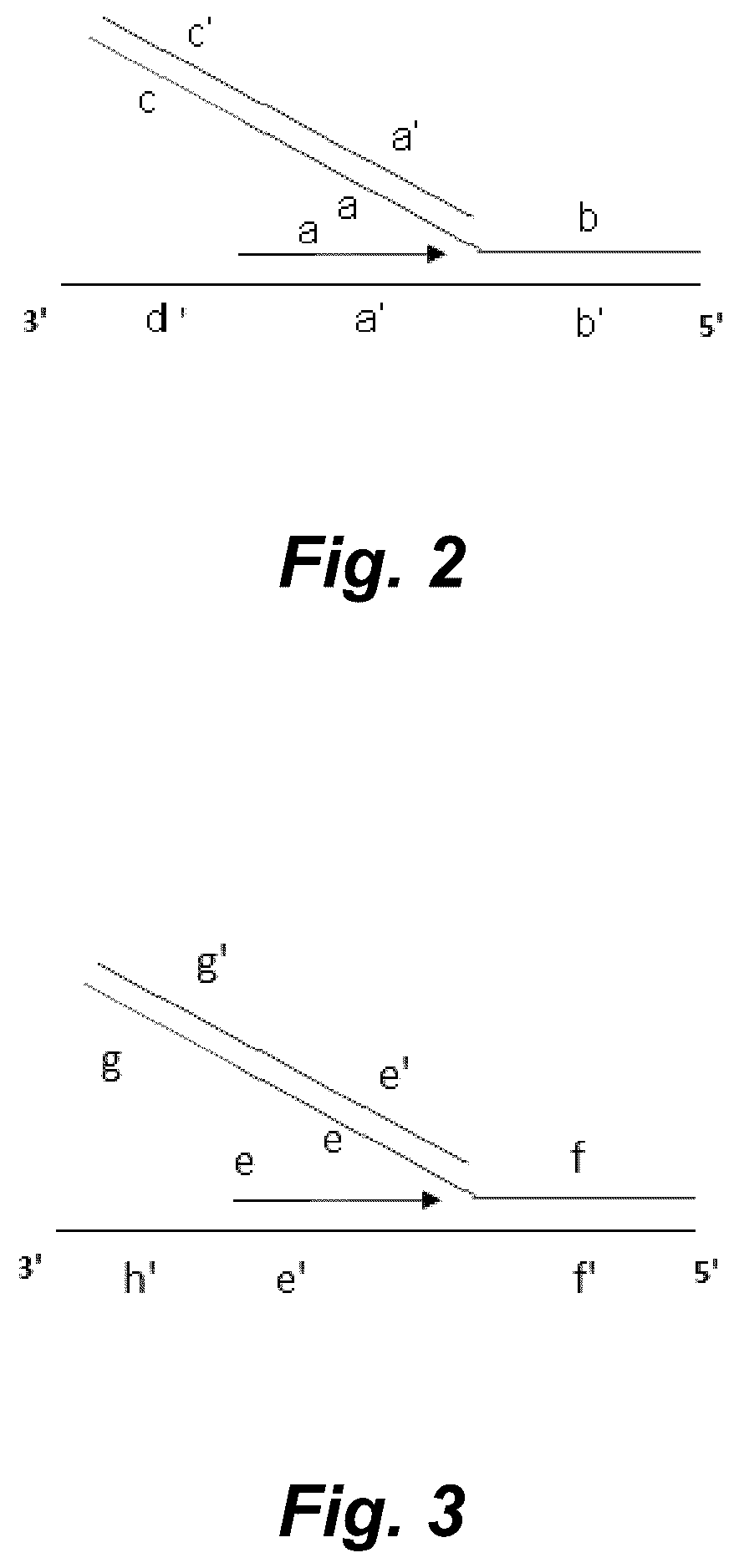 Patent US12098368 Figure 2 – Exponential base-3 and greater nucleic acid amplification with reduced amplification time