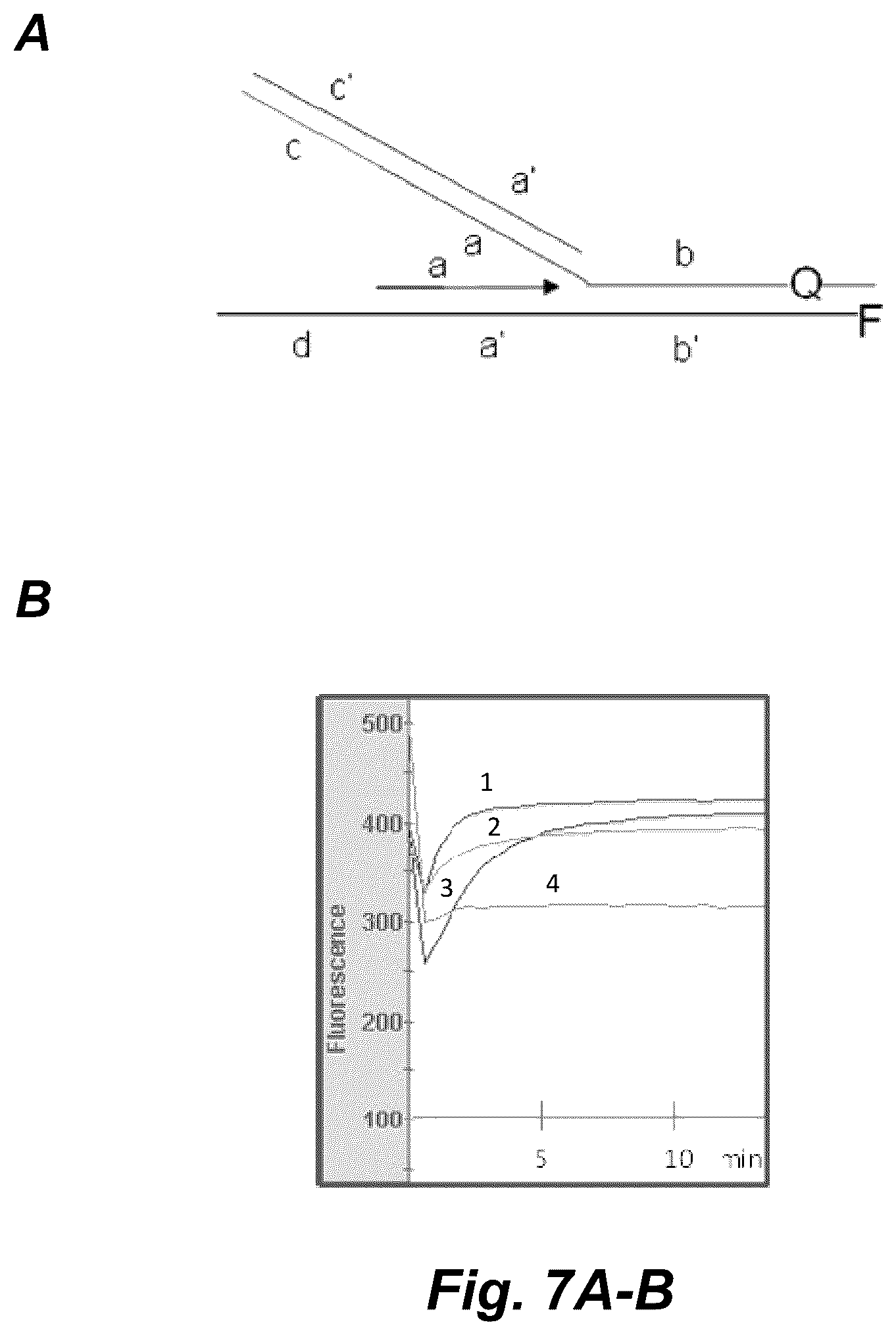 Patent US12098368 Figure 5 – Exponential base-3 and greater nucleic acid amplification with reduced amplification time