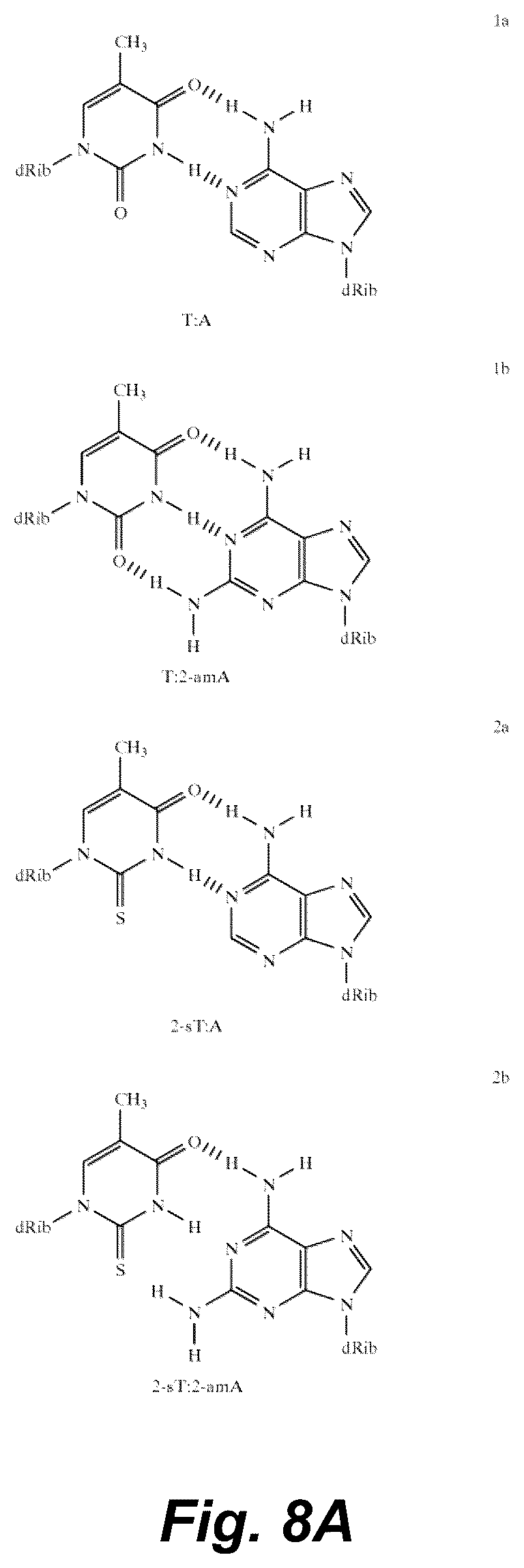 Patent US12098368 Figure 6 – Exponential base-3 and greater nucleic acid amplification with reduced amplification time