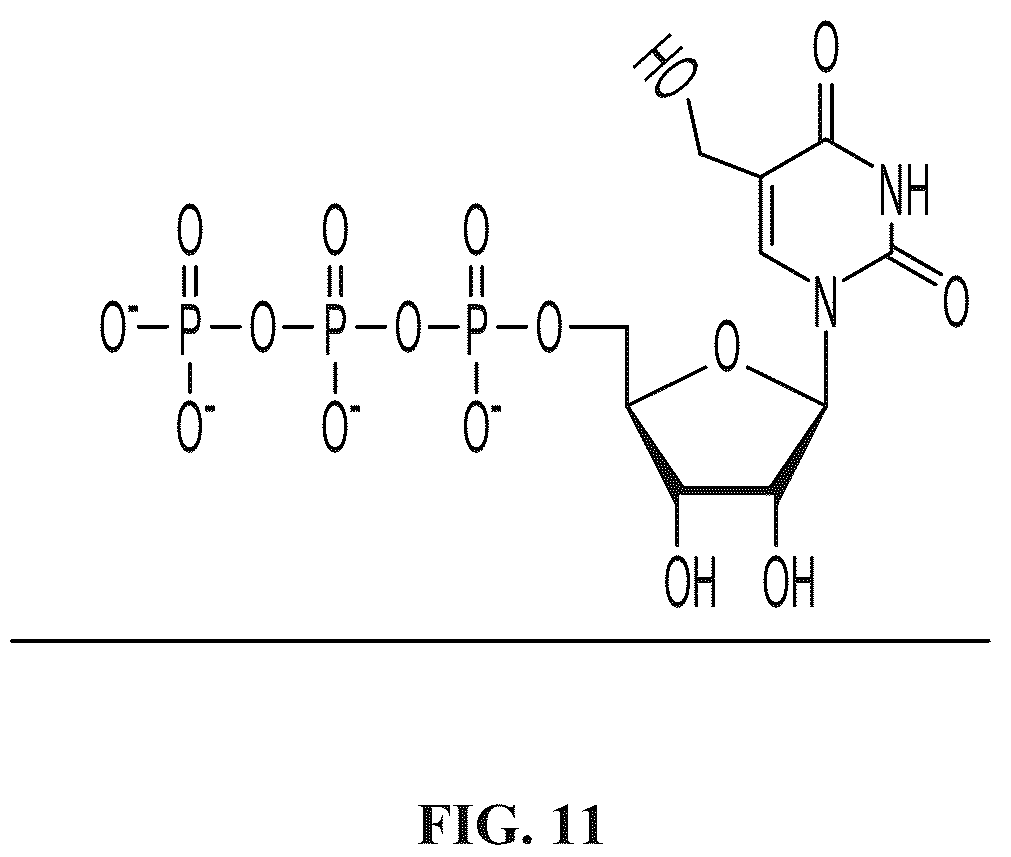 Patent US12098369 Figure 11 – Modified ribonucleic acids and uses thereof