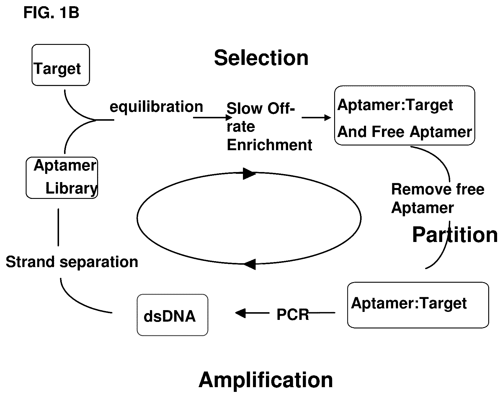 Patent US12098370 Figure 2 – Method for generating aptamers with improved off-rates