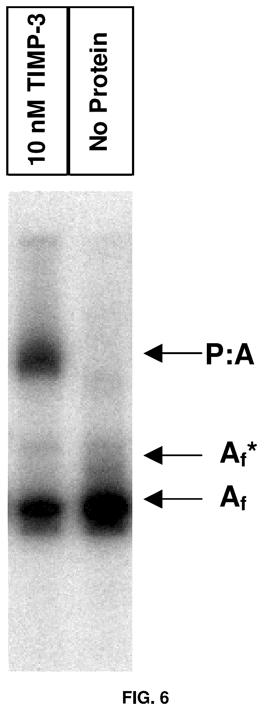 Patent US12098370 Figure 9 – Method for generating aptamers with improved off-rates