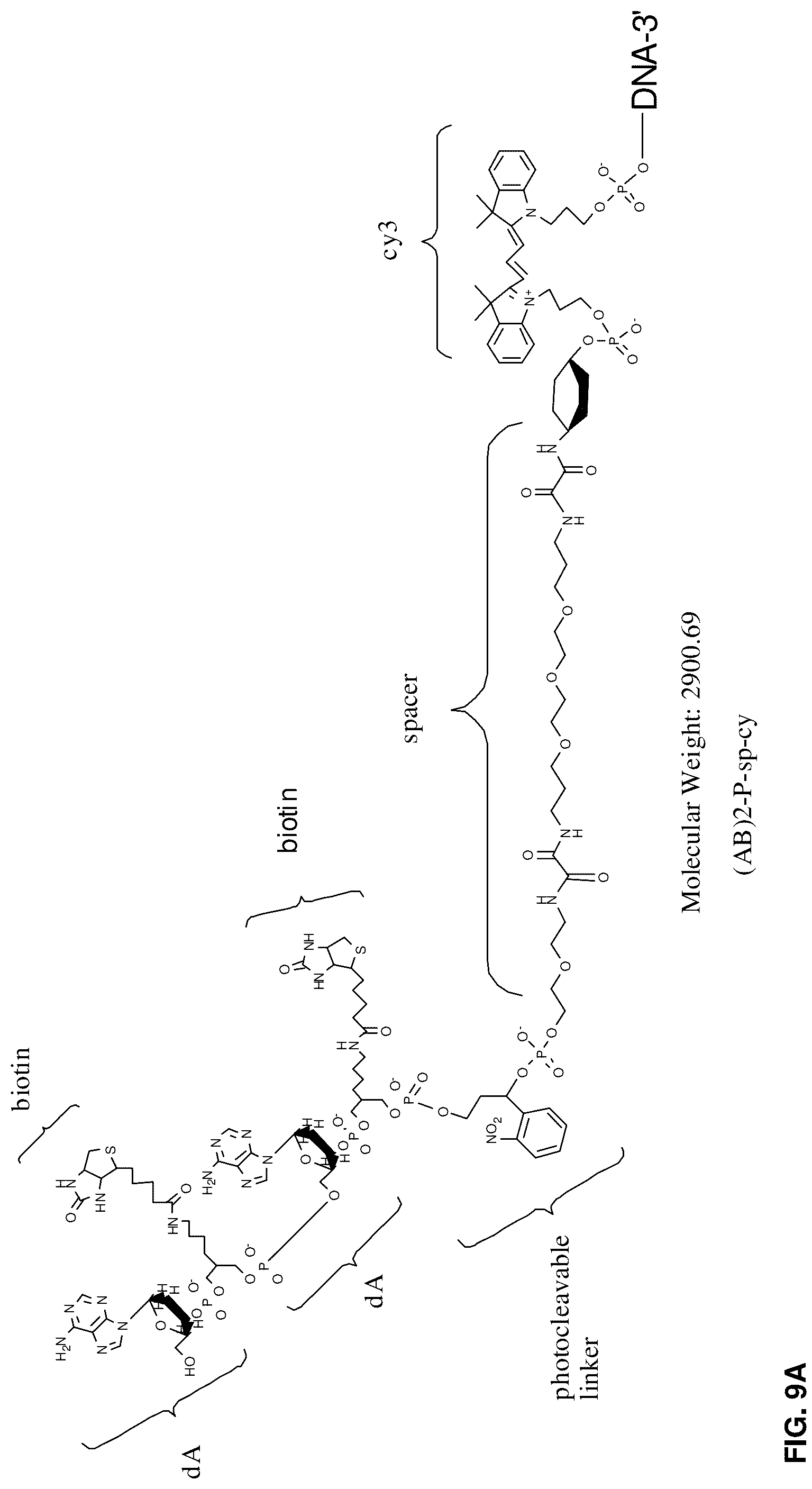 Patent US12098370 Figure 16 – Method for generating aptamers with improved off-rates