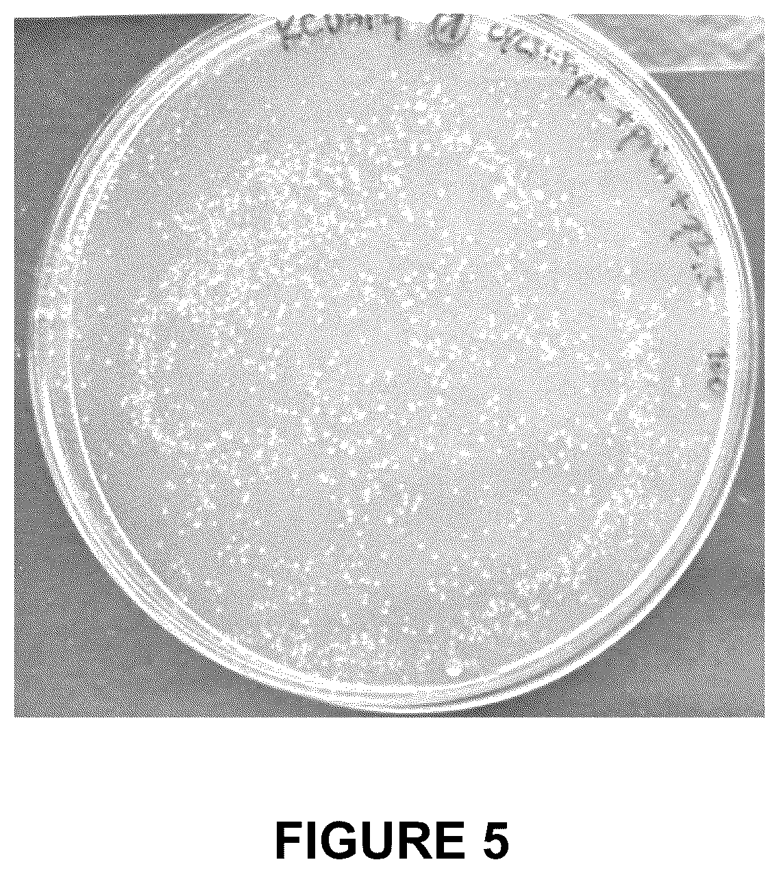 Patent US12098372 Figure 9 – Microbiome modulation of a host by delivery of DNA payloads with minimized spread